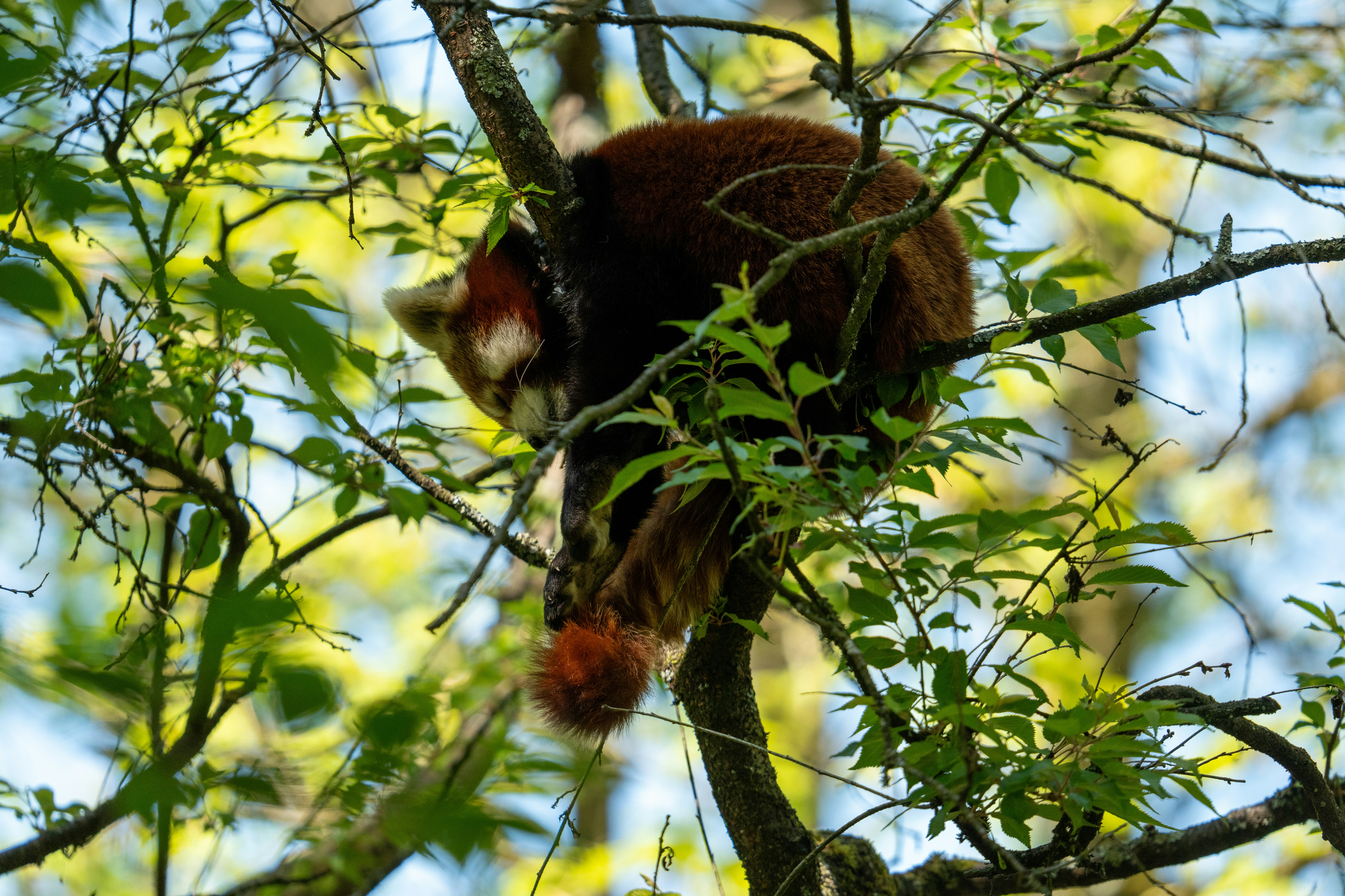 Photo by robertschwarz