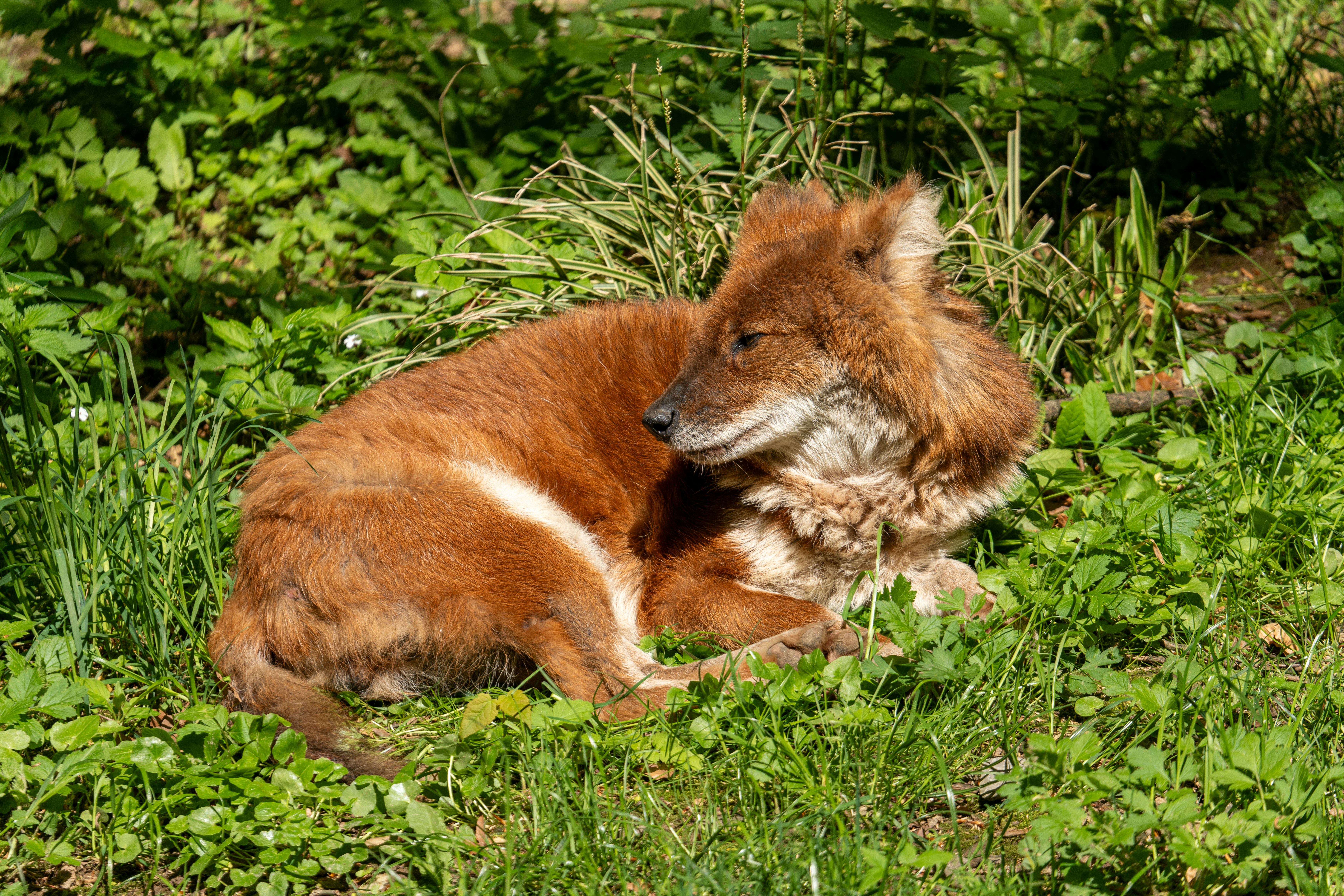 Photo by robertschwarz