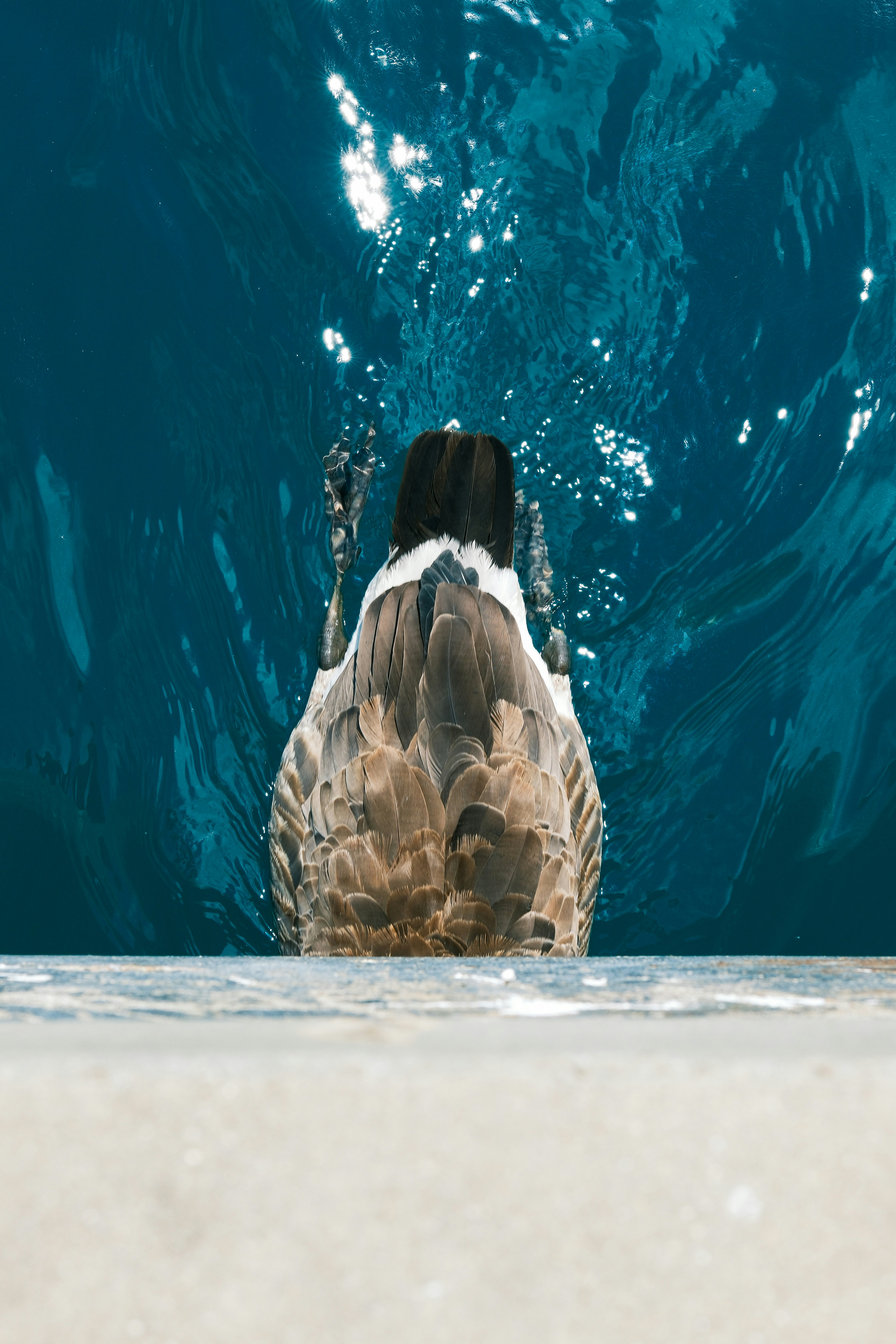 Photo by justalifein