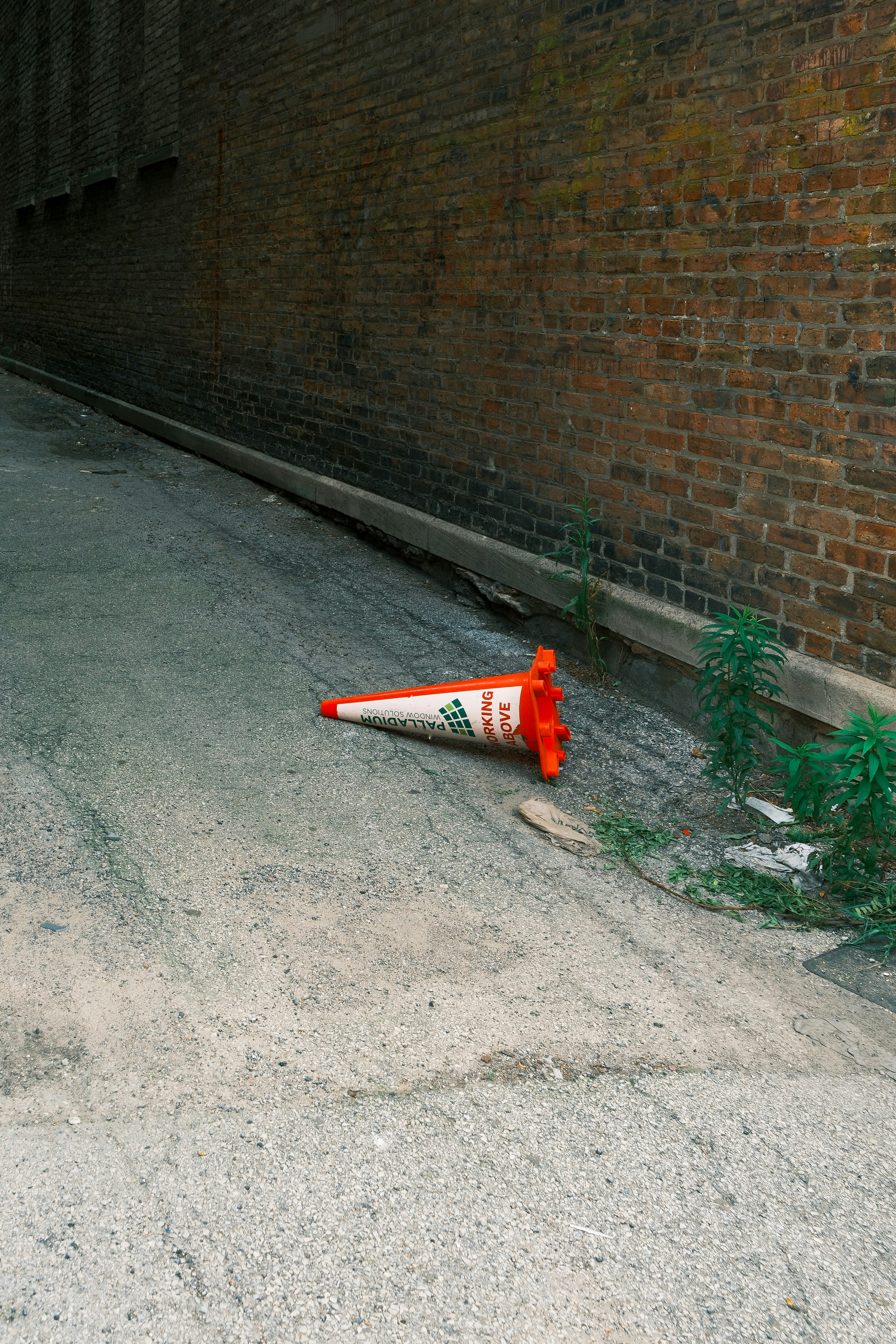 Photo by justalifein