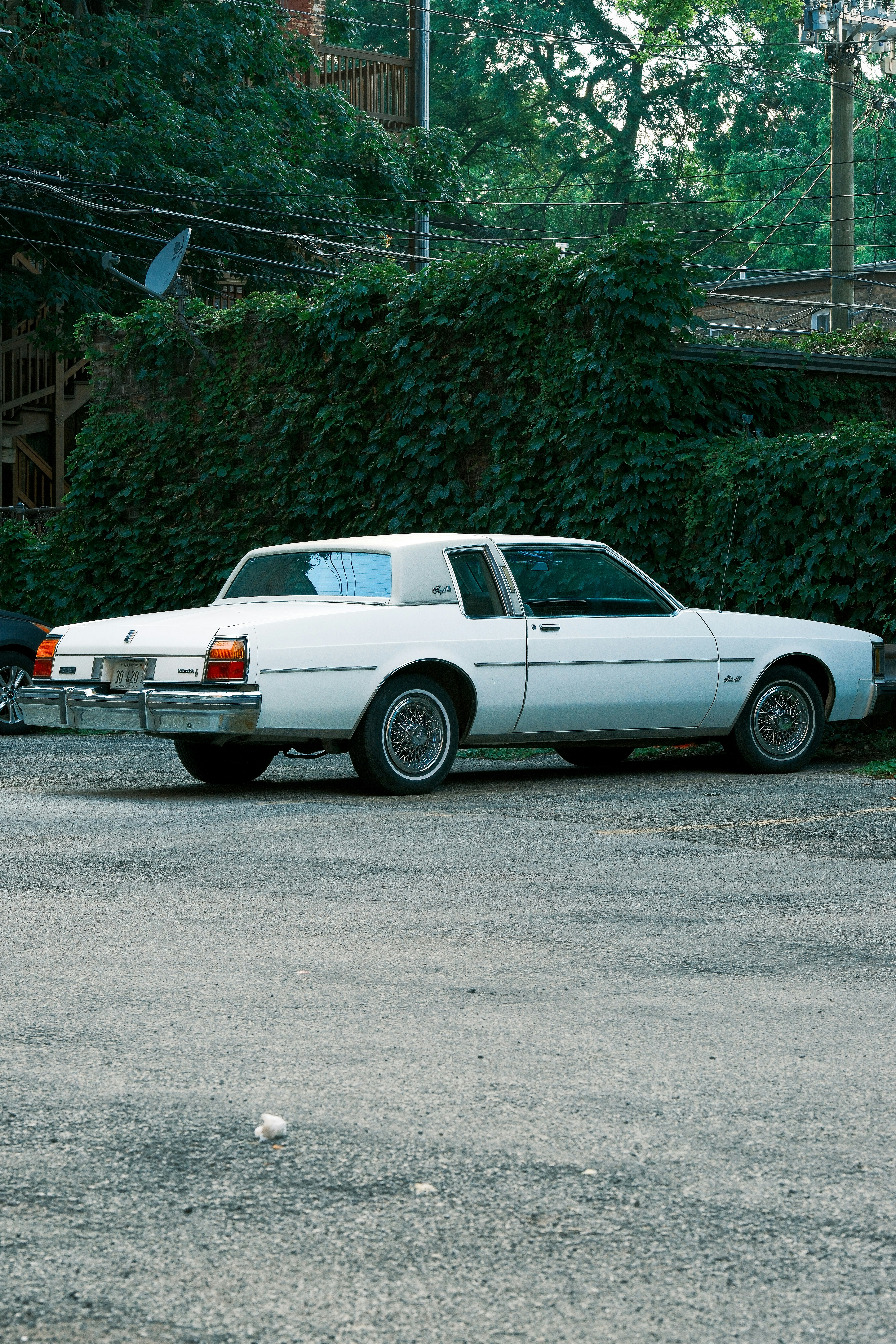 Photo by justalifein