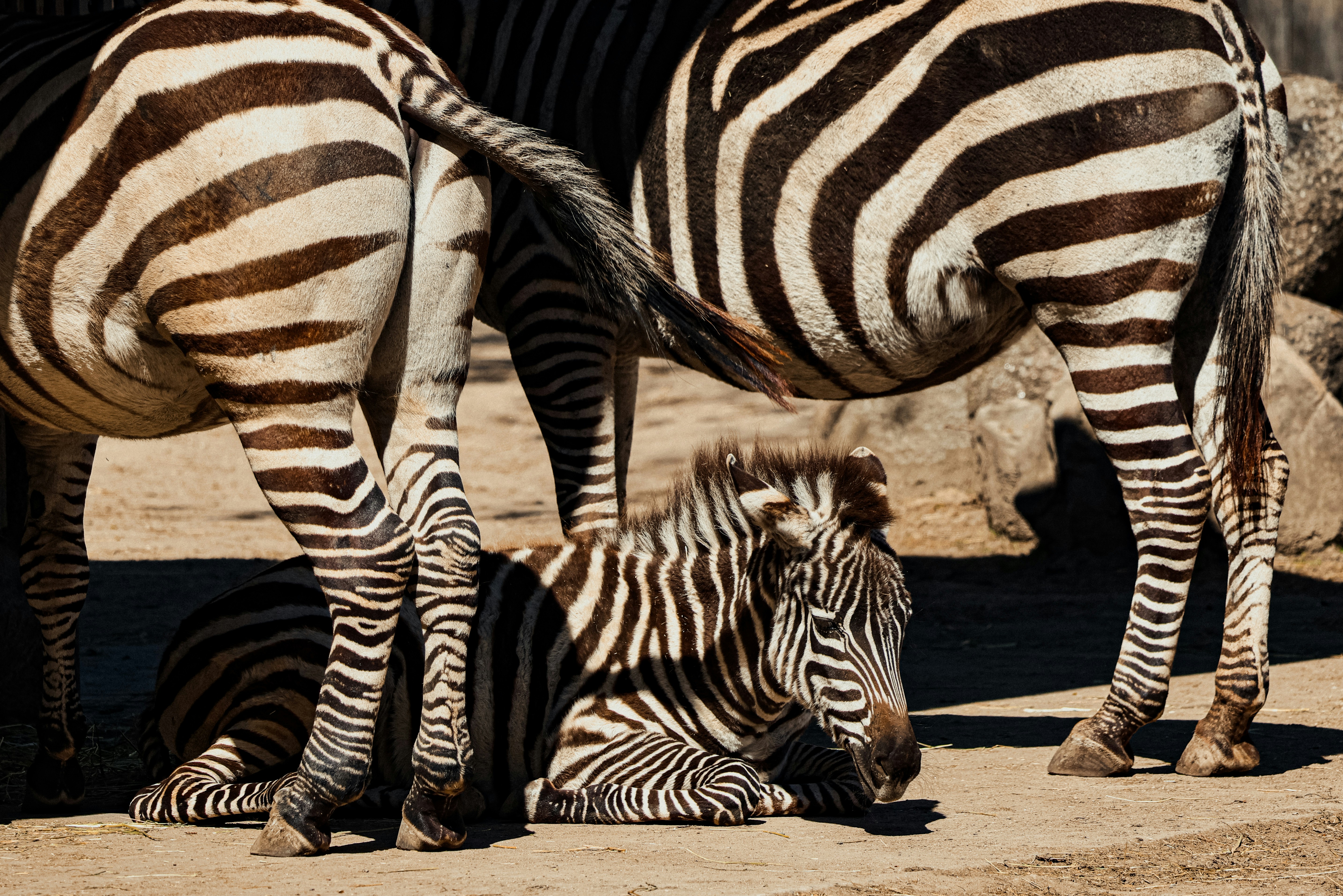 Photo by nickkarvounis