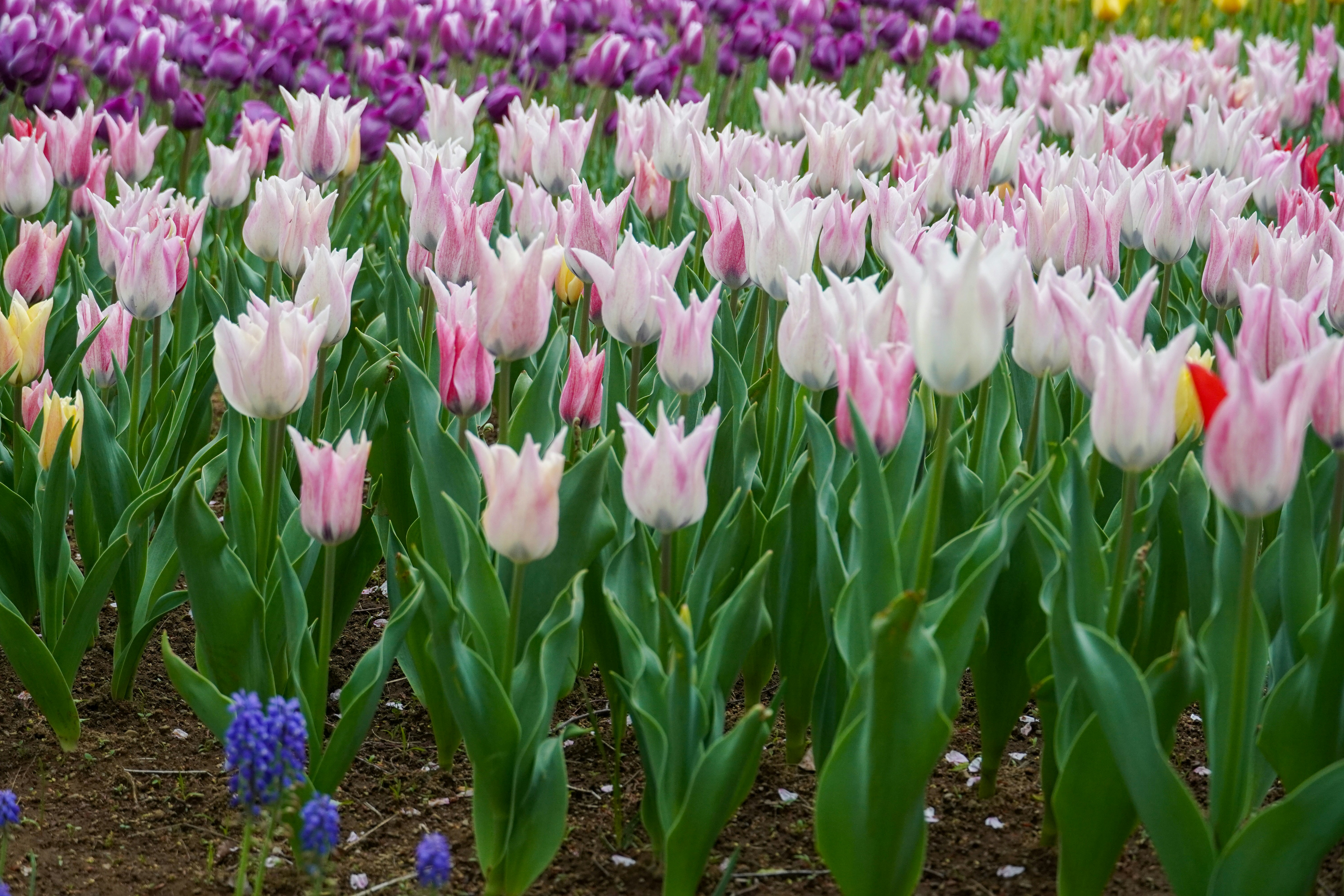 Photo by dsnphotography