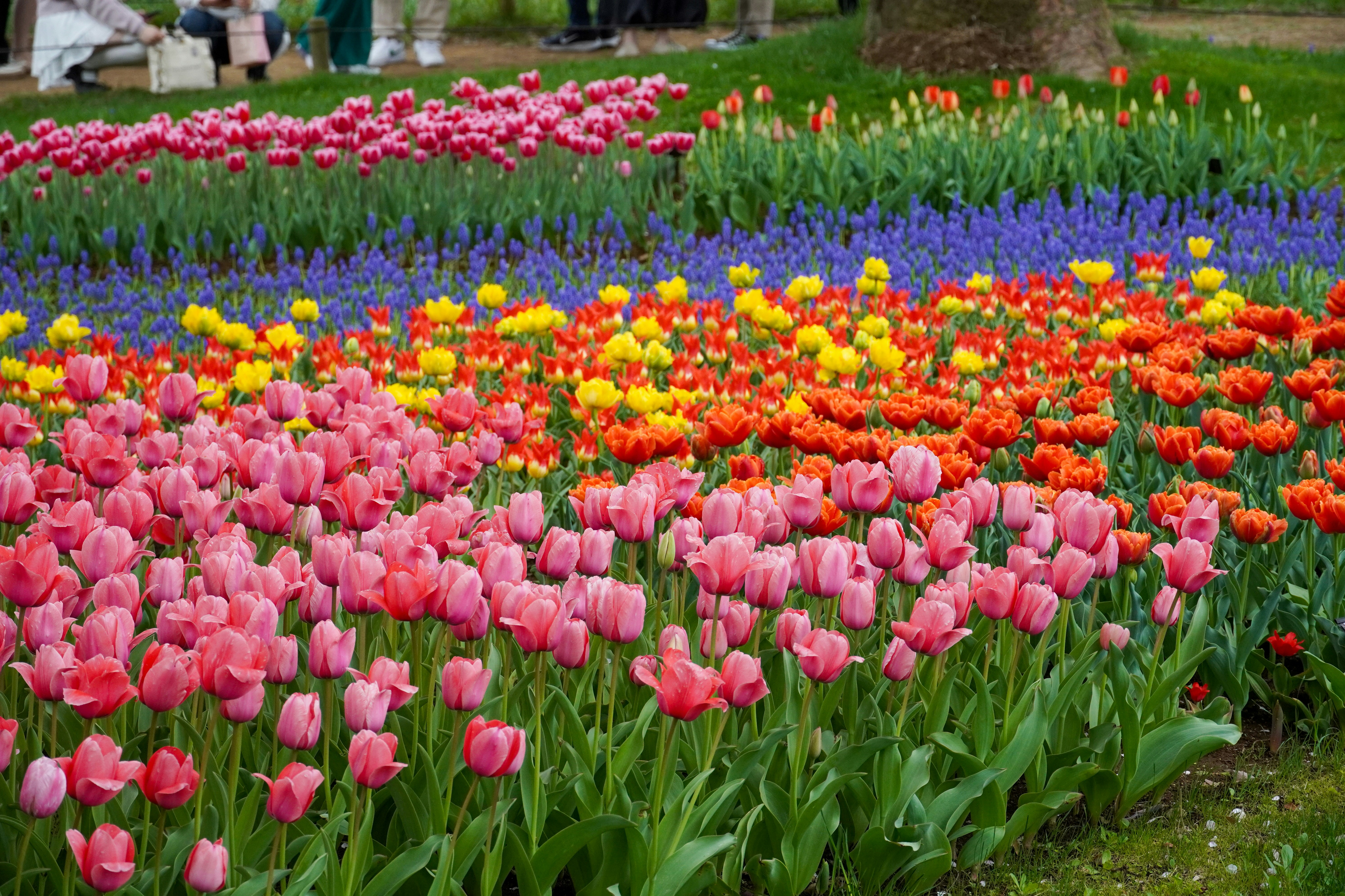 Photo by dsnphotography