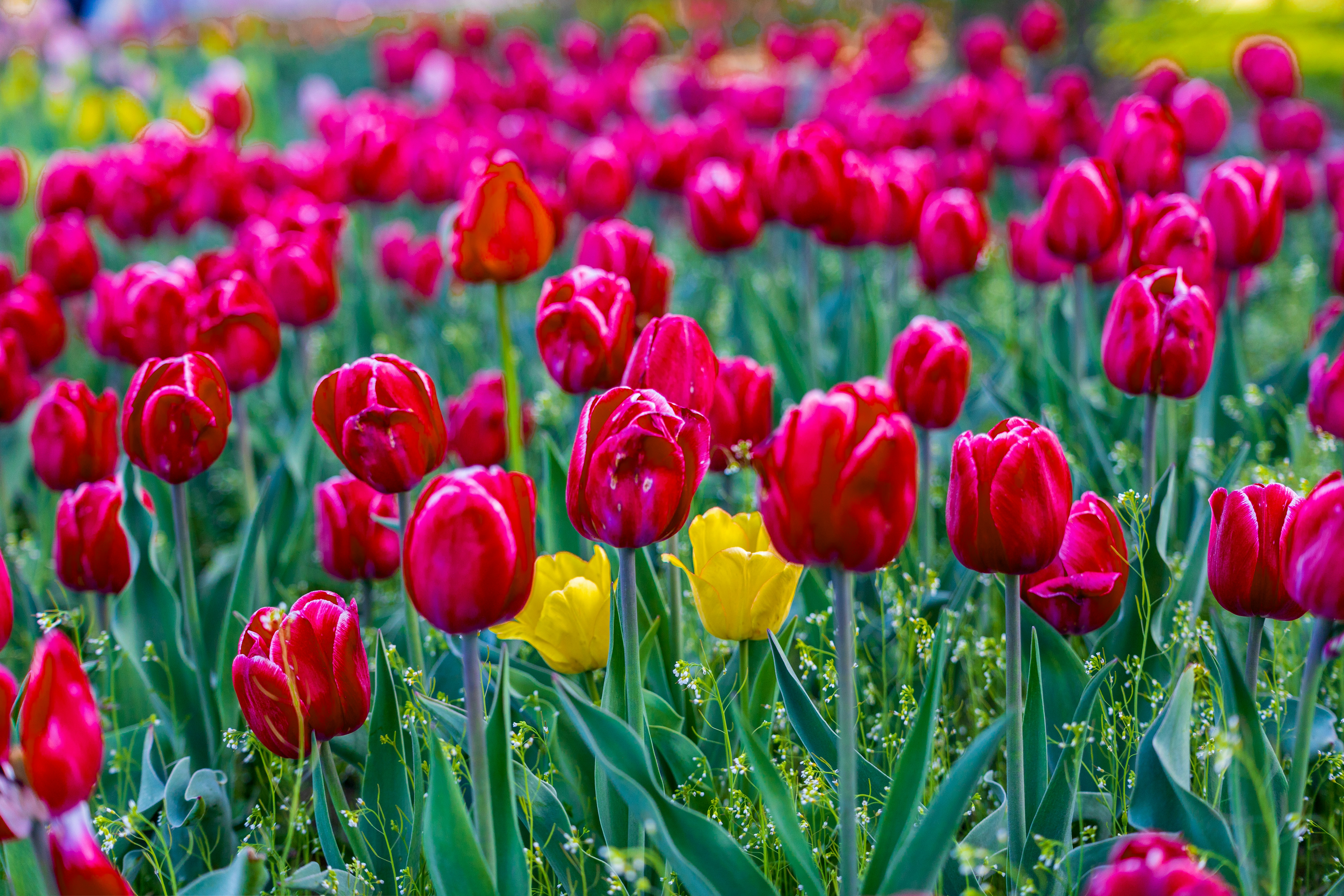 Photo by lancetraveler60