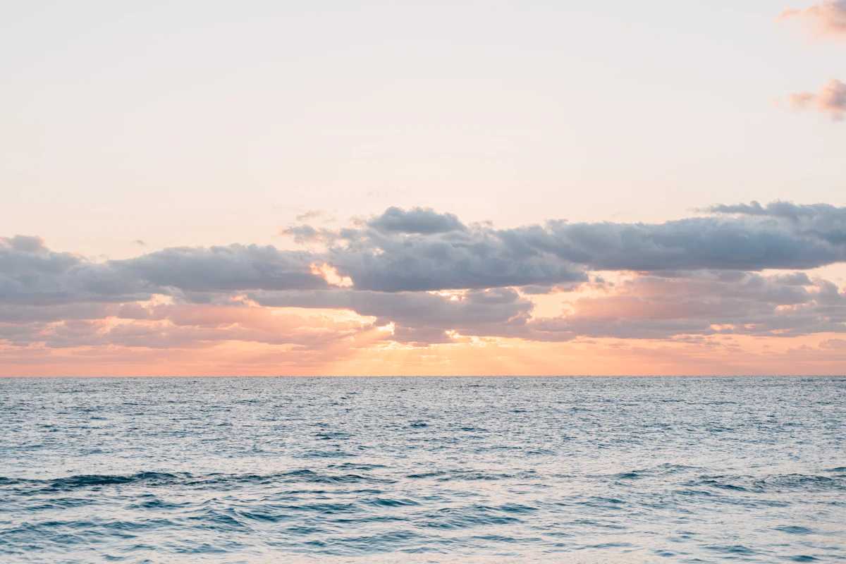 How to Follow a Guided Box Breathing Timer