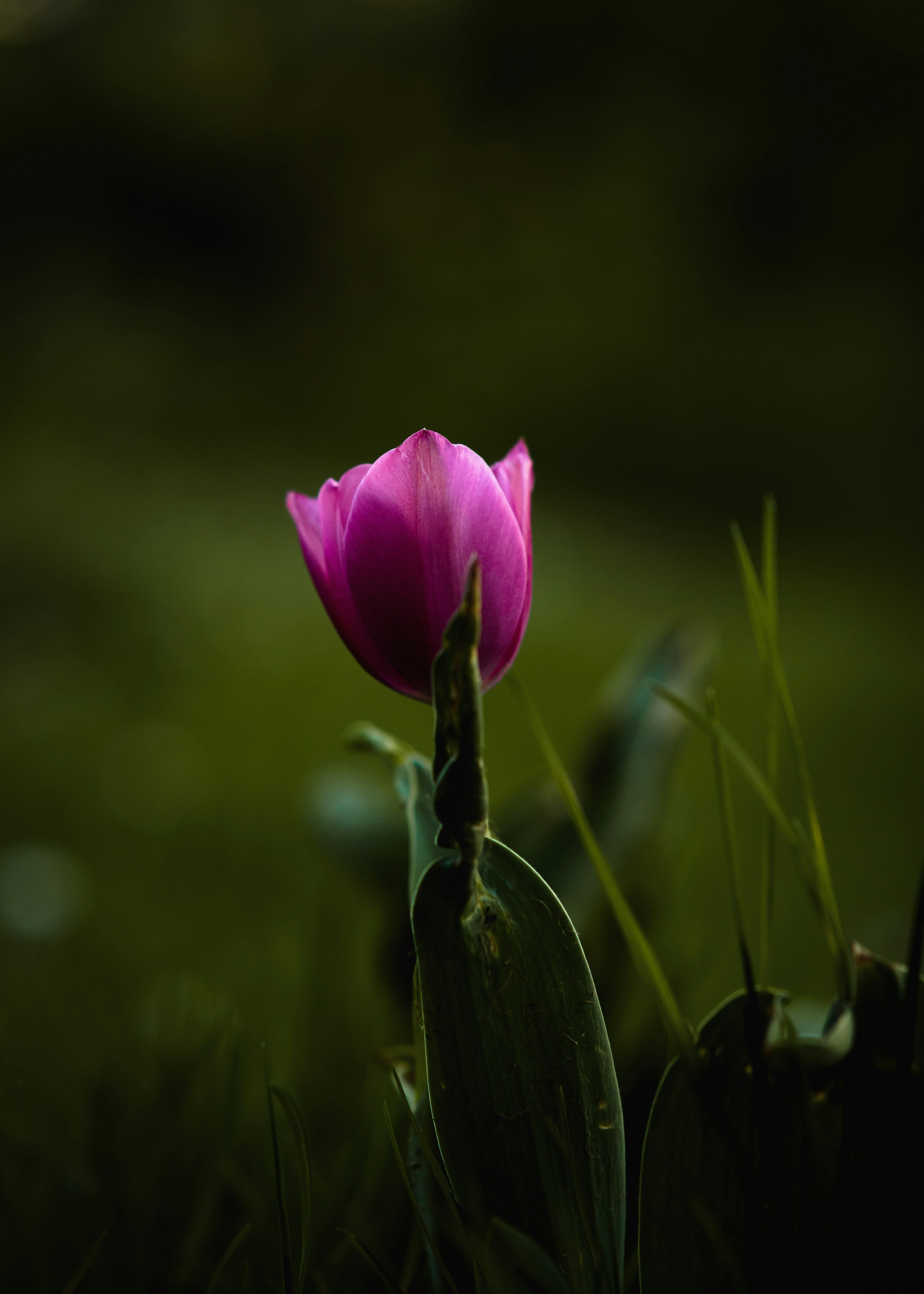 Photo by jahan_photobox