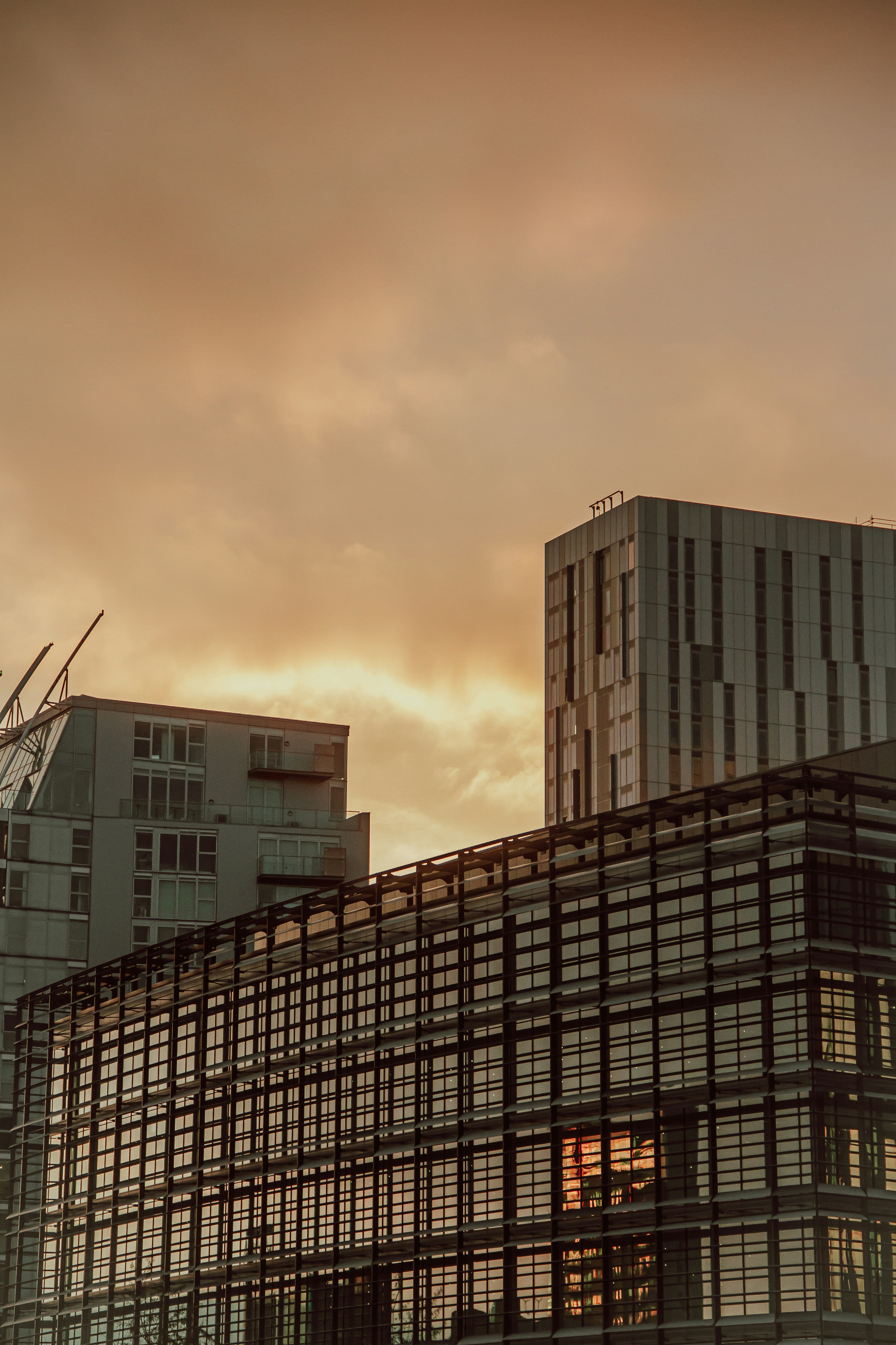 Photo by violaproductions