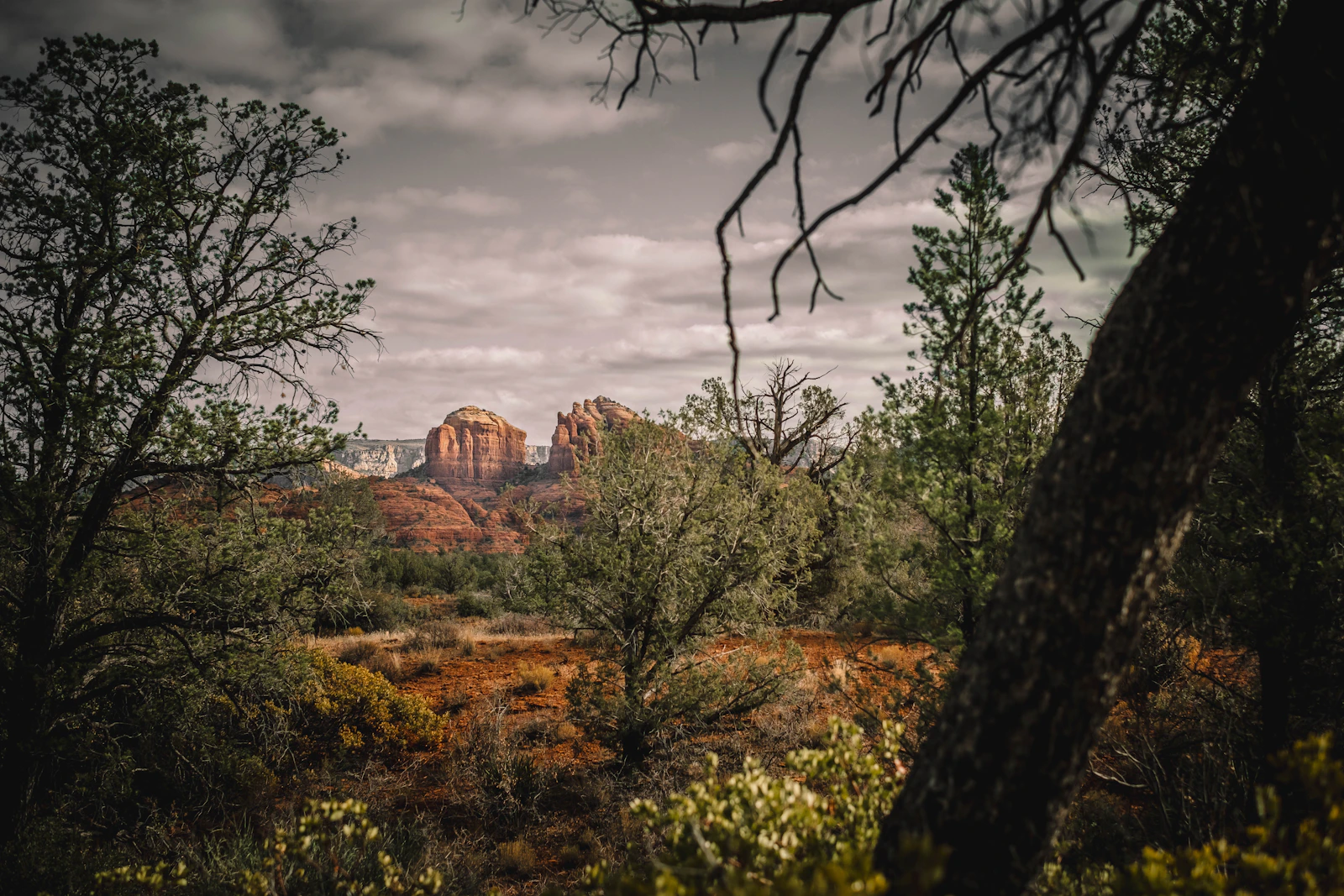 Red-rock formations and desert landscape in Sedona, Arizona