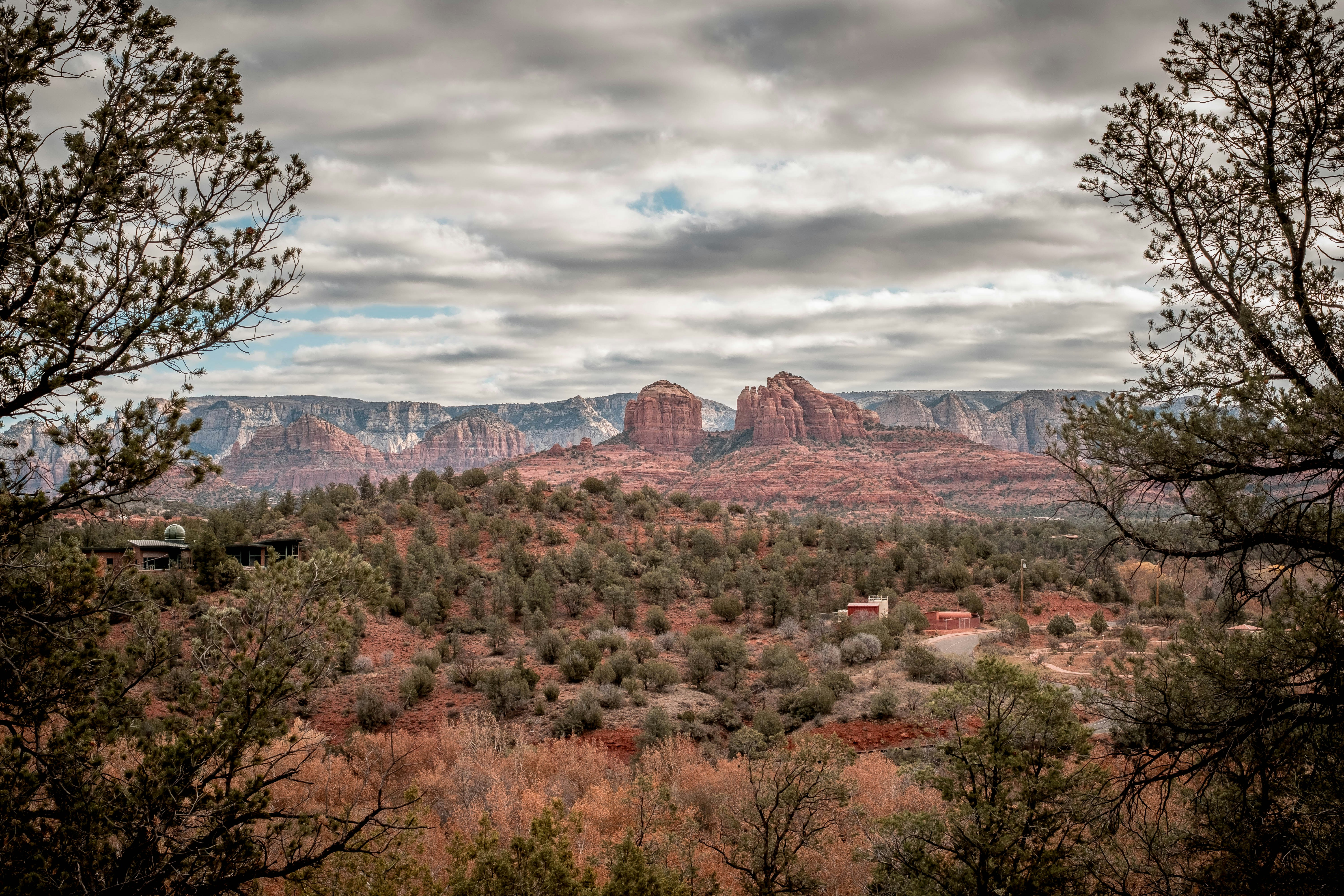 Photo by lanceanderson