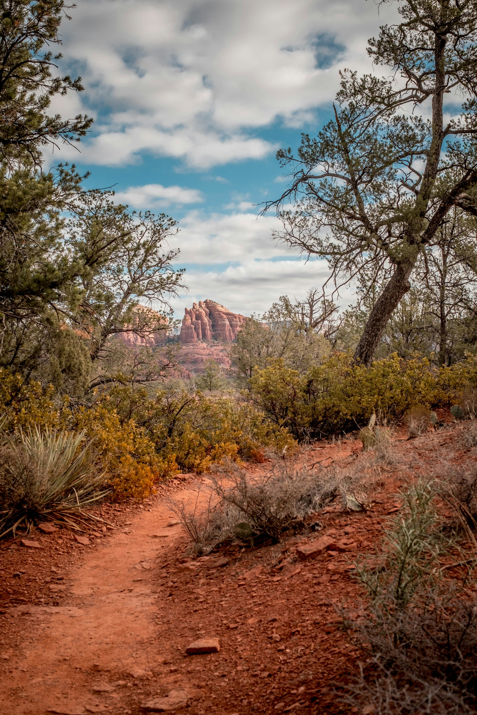 Sedona hiking path and canyon walls
