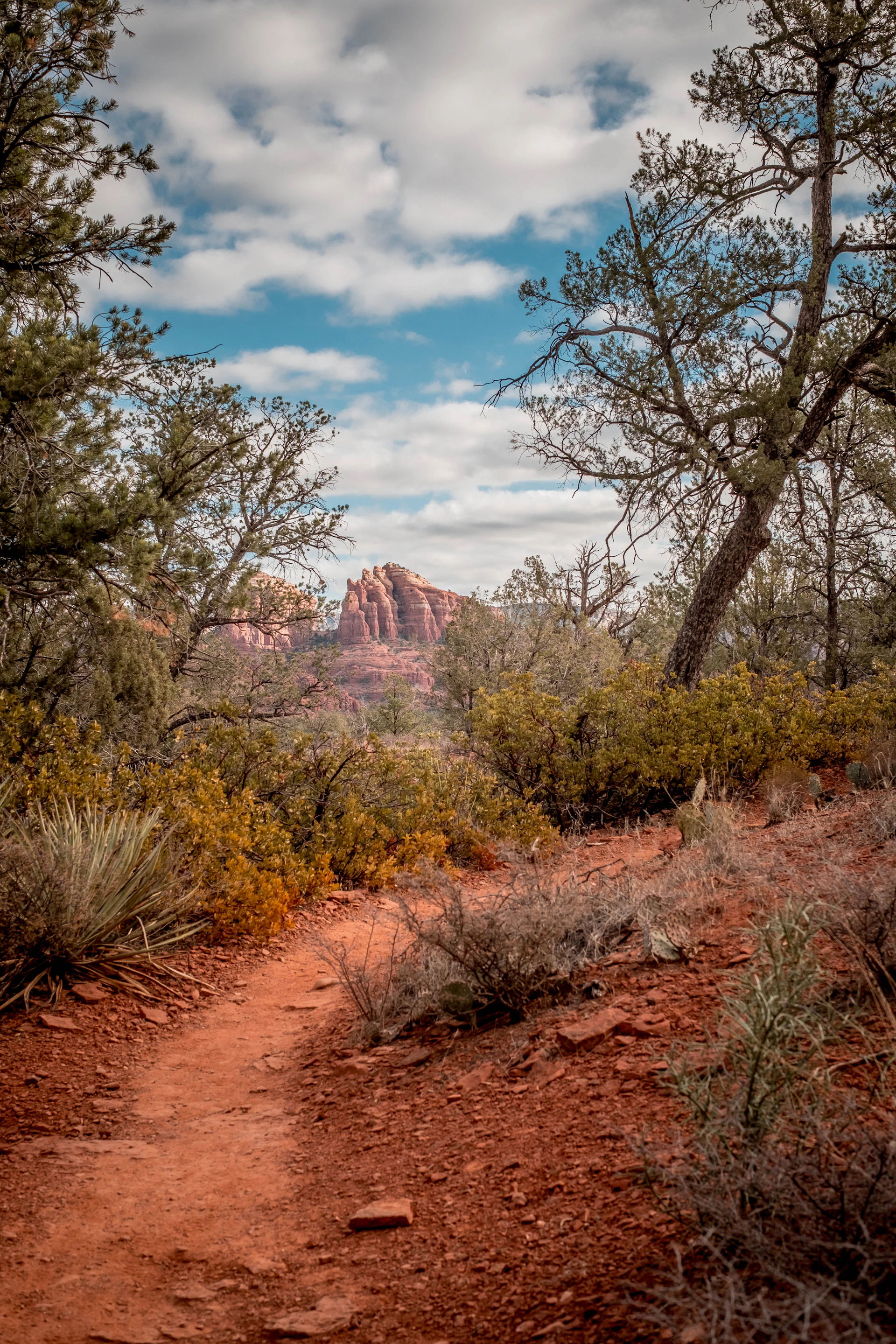 A trail leads to a stunning desert mountain.