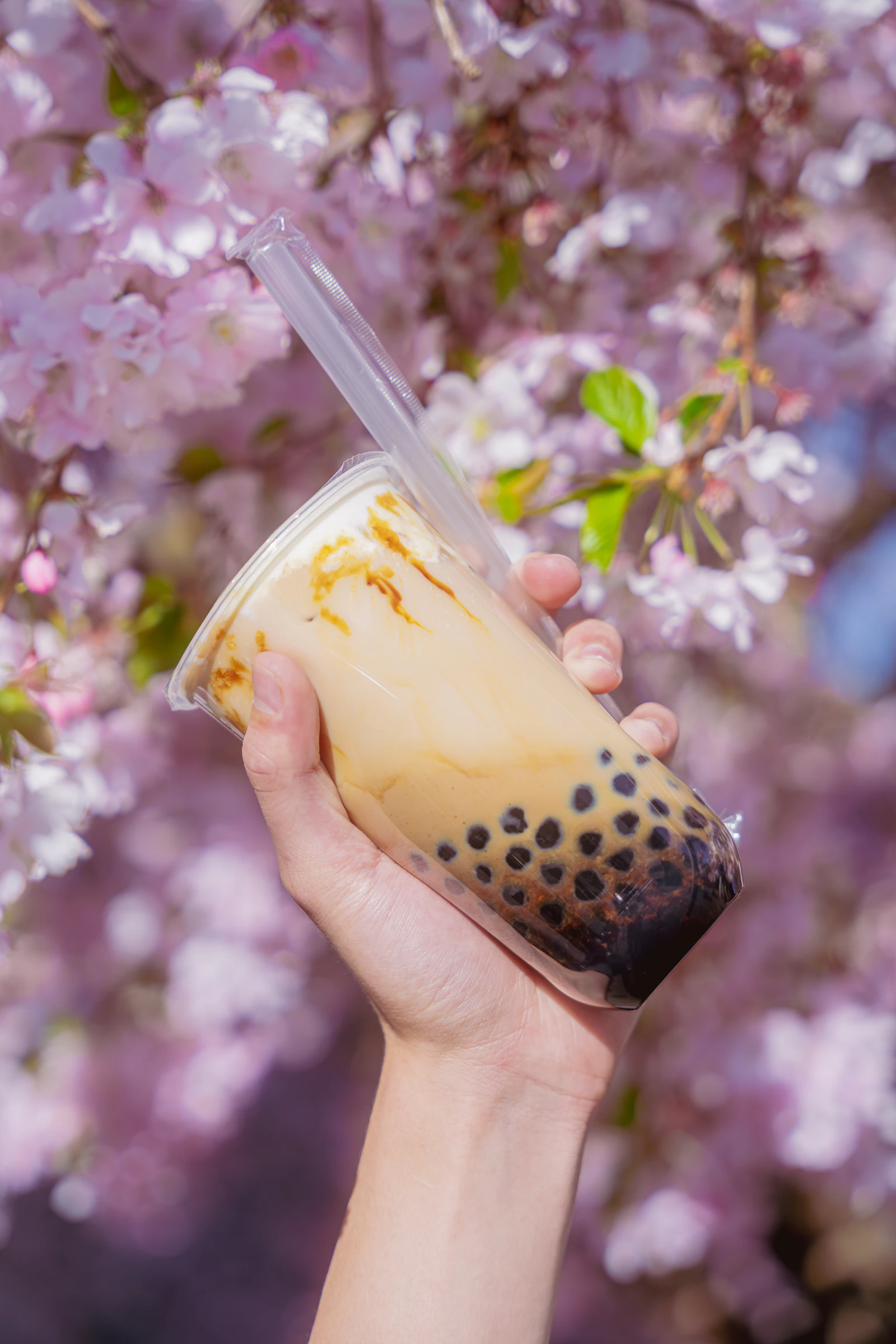 Hand holding a sealed cup of refreshing bubble milk tea outdoors