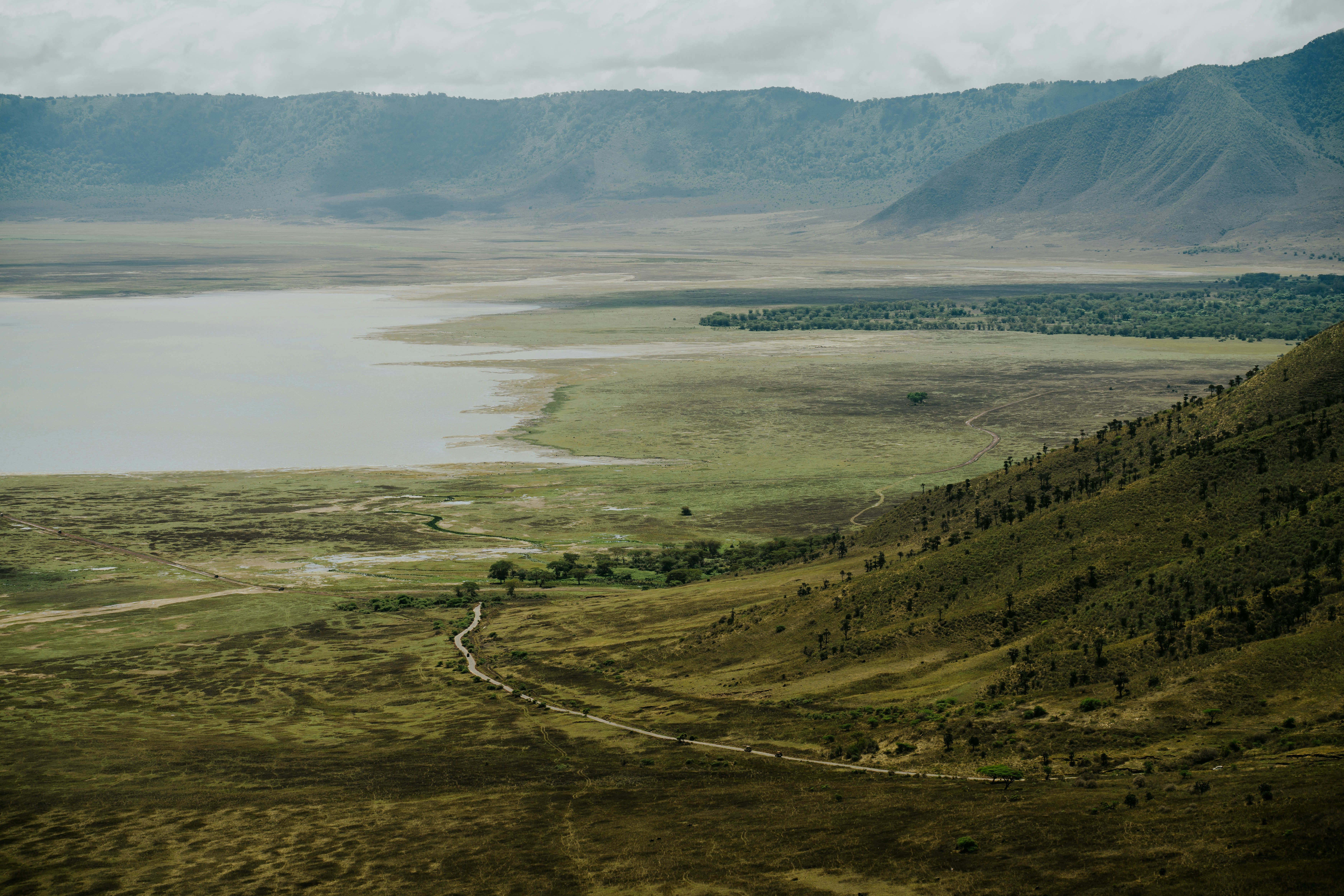 Ngorongoro Crater