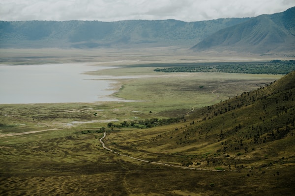 Ngorongoro Crater aerial view with wildlife on the lush green crater floor