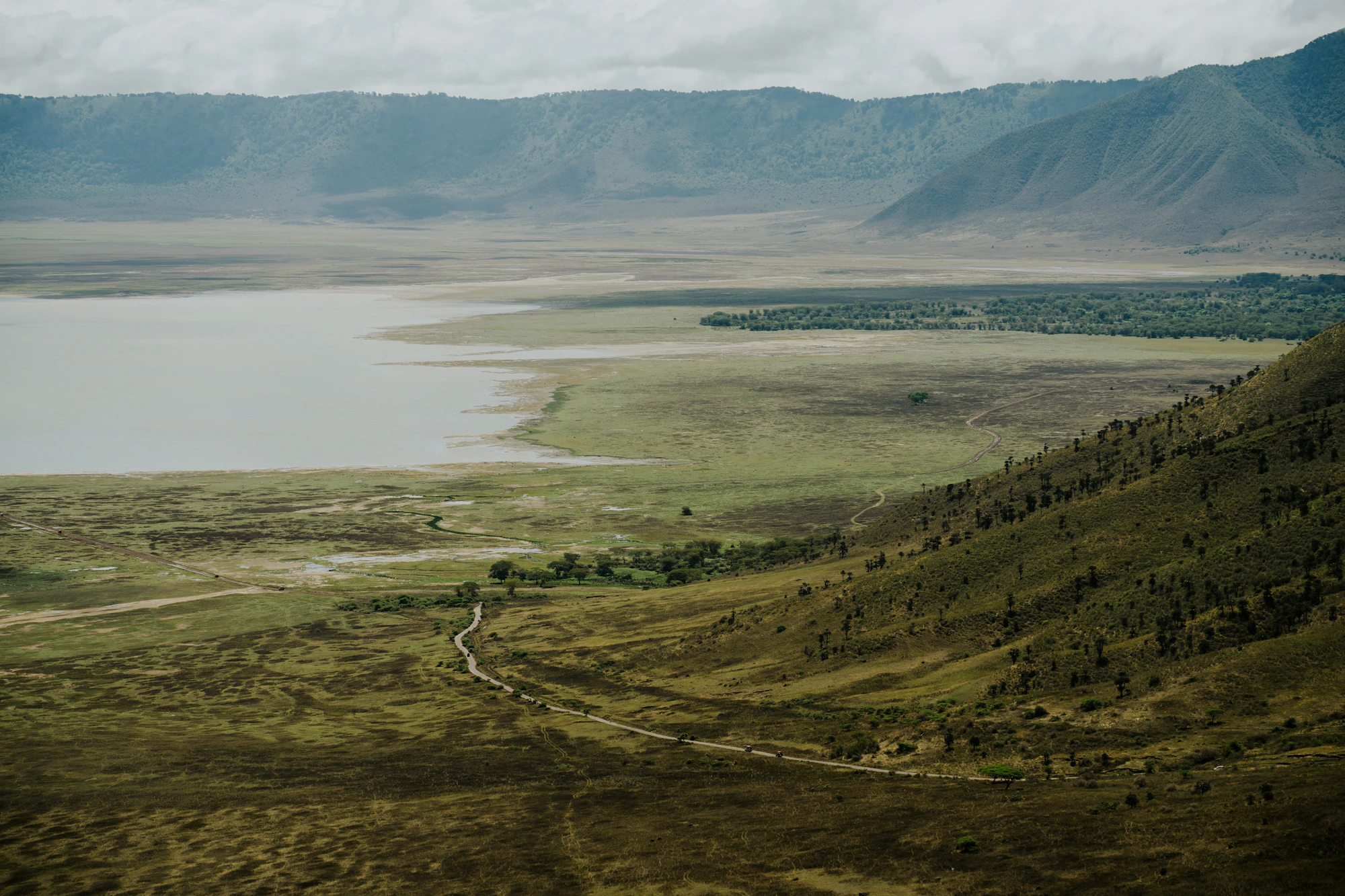 View across the Ngorongoro Crater floor to its lake and rim