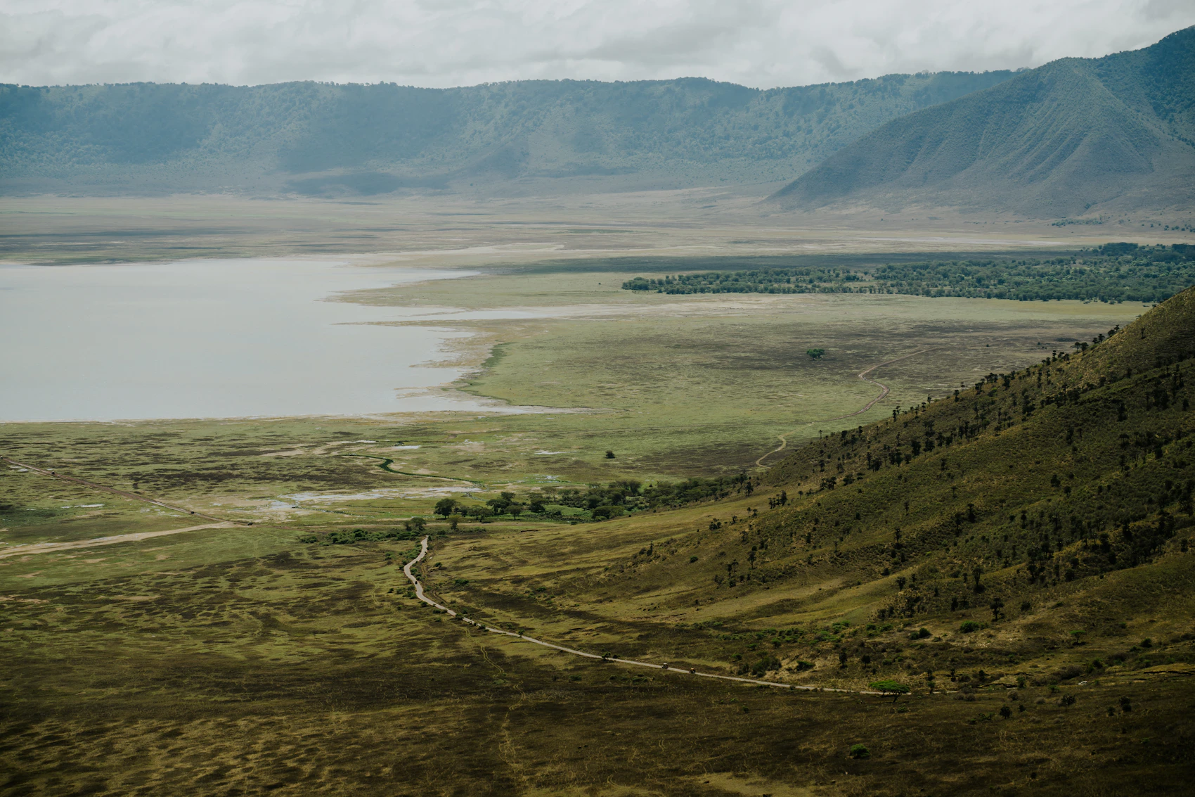 The broad green landscape of Ngorongoro Crater in Tanzania