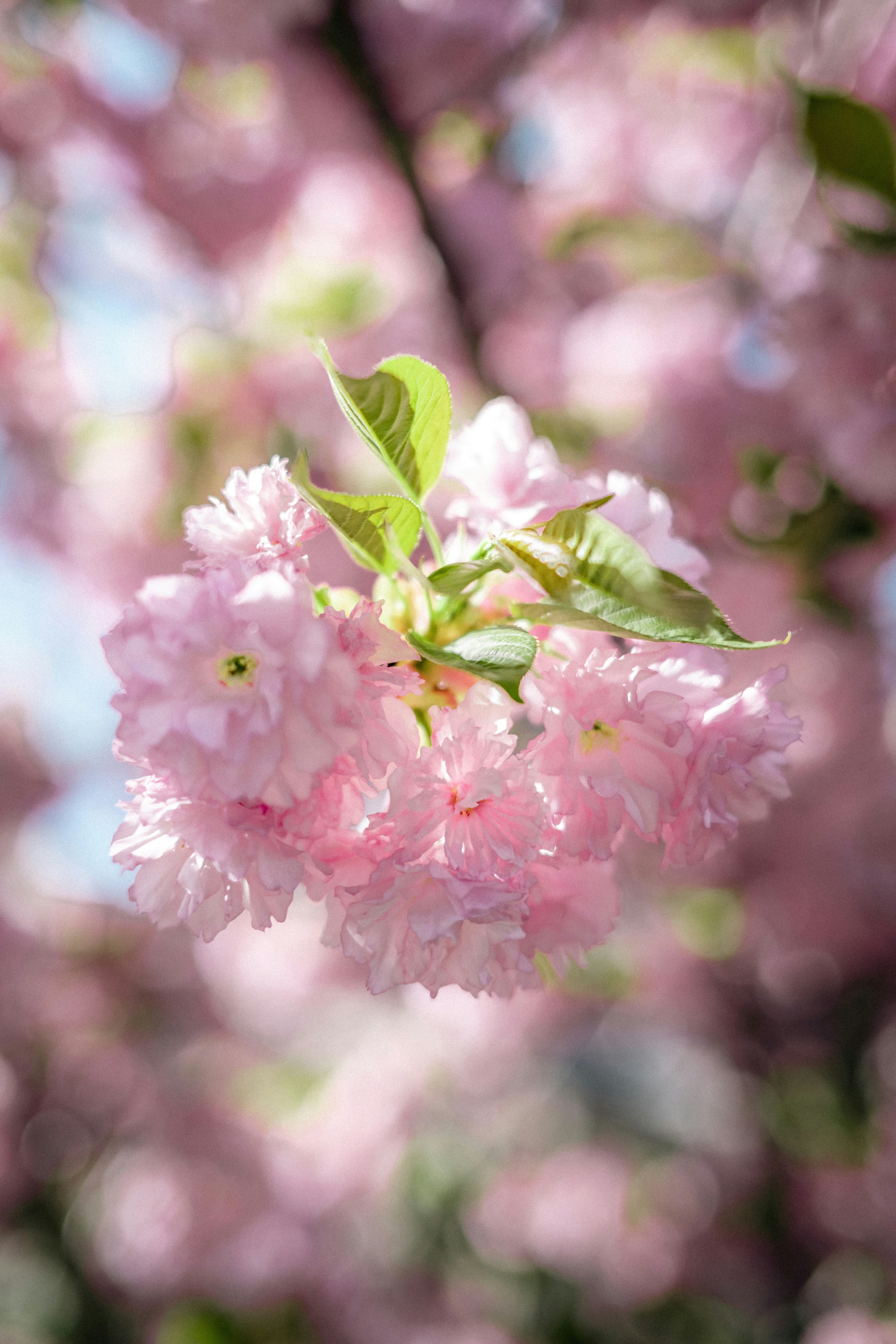 Photo by zihao_wang