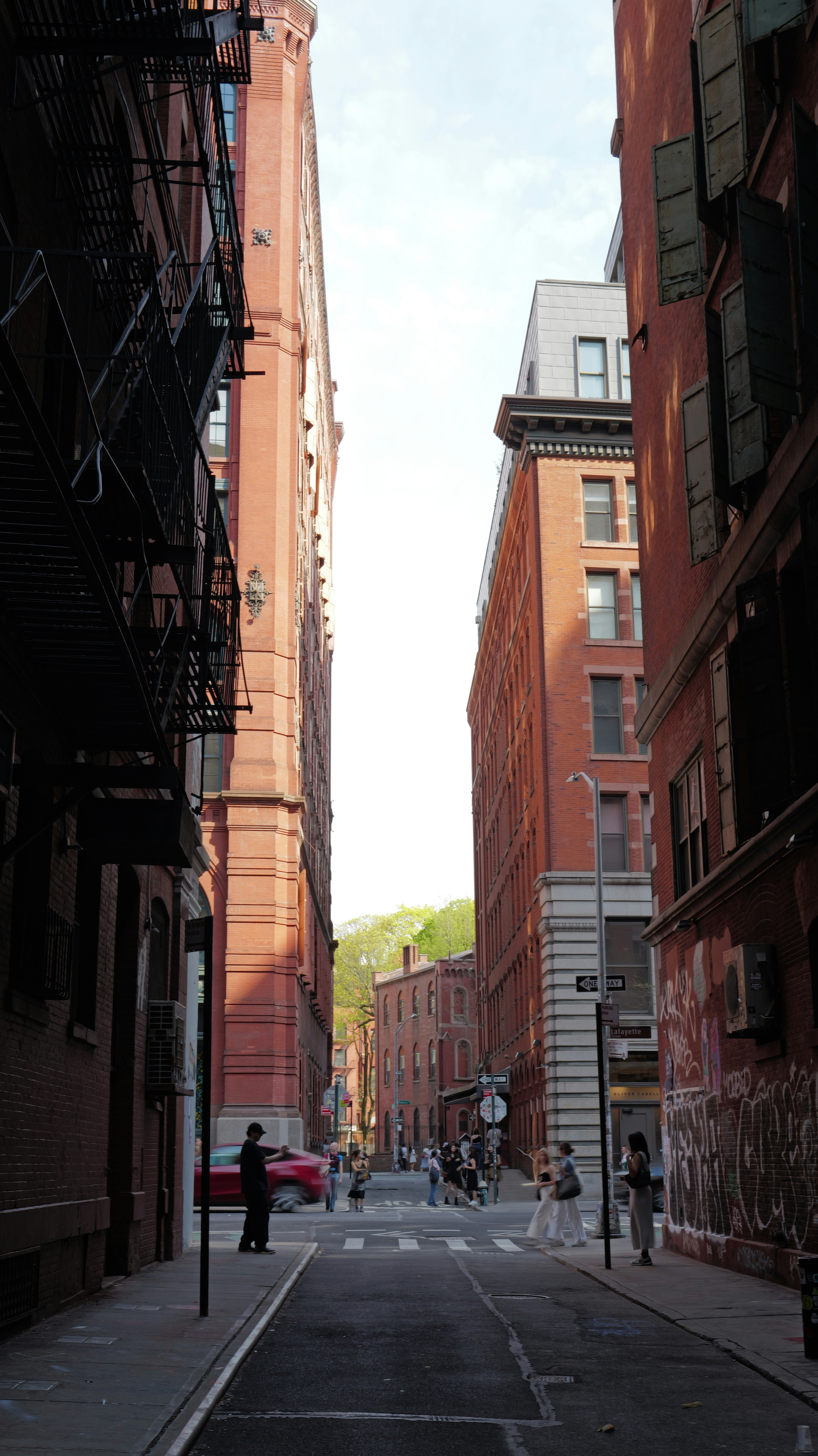 Photo by bittercofy