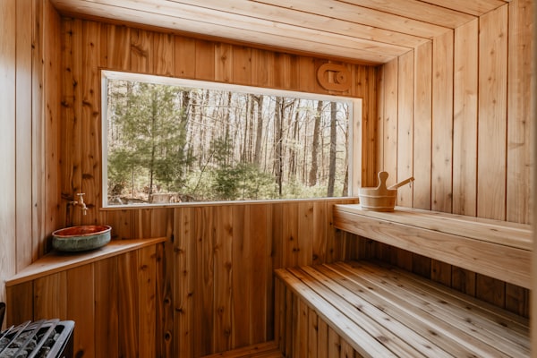 Wooden sauna overlooking forest
