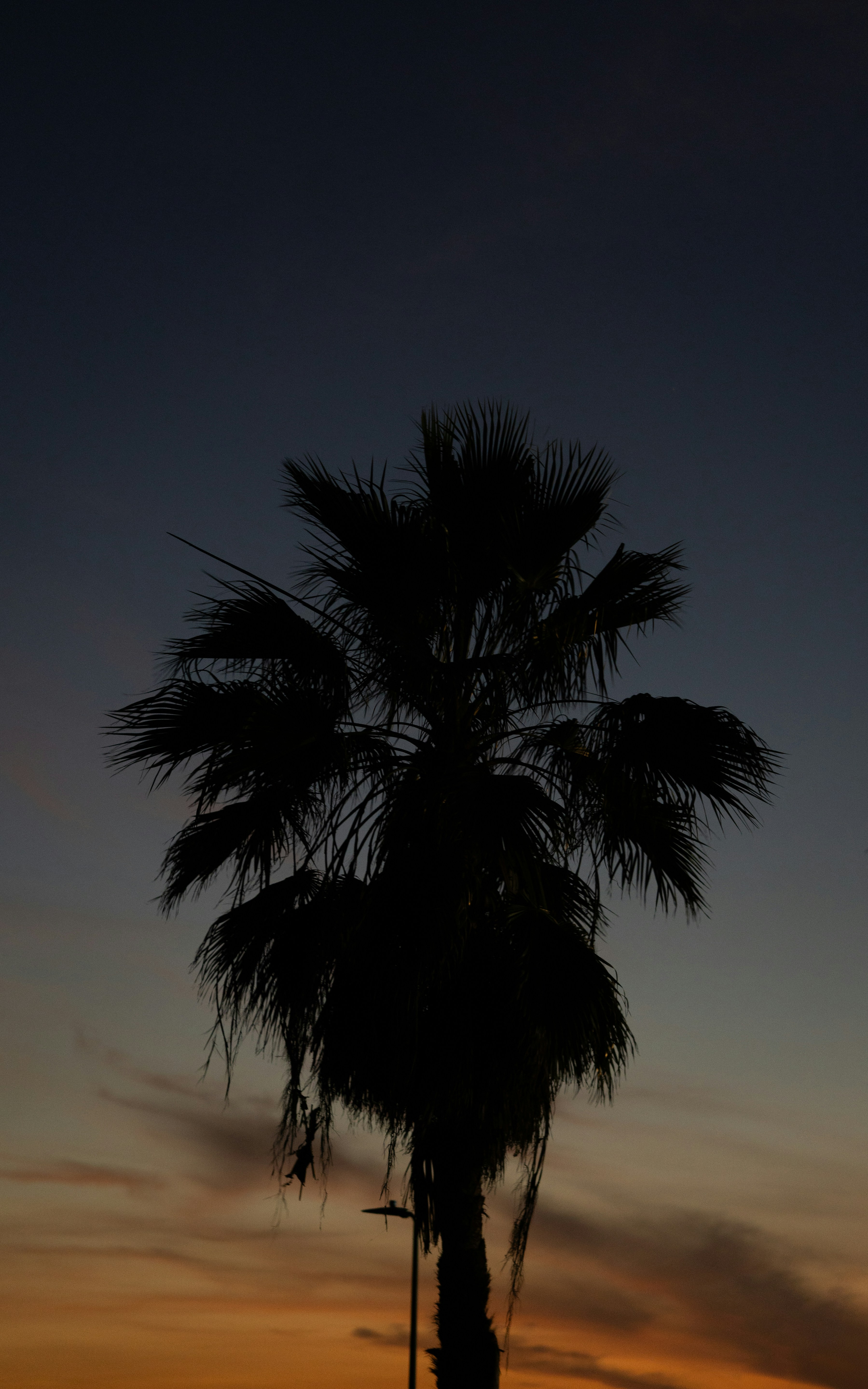 Photo by wifigueroa