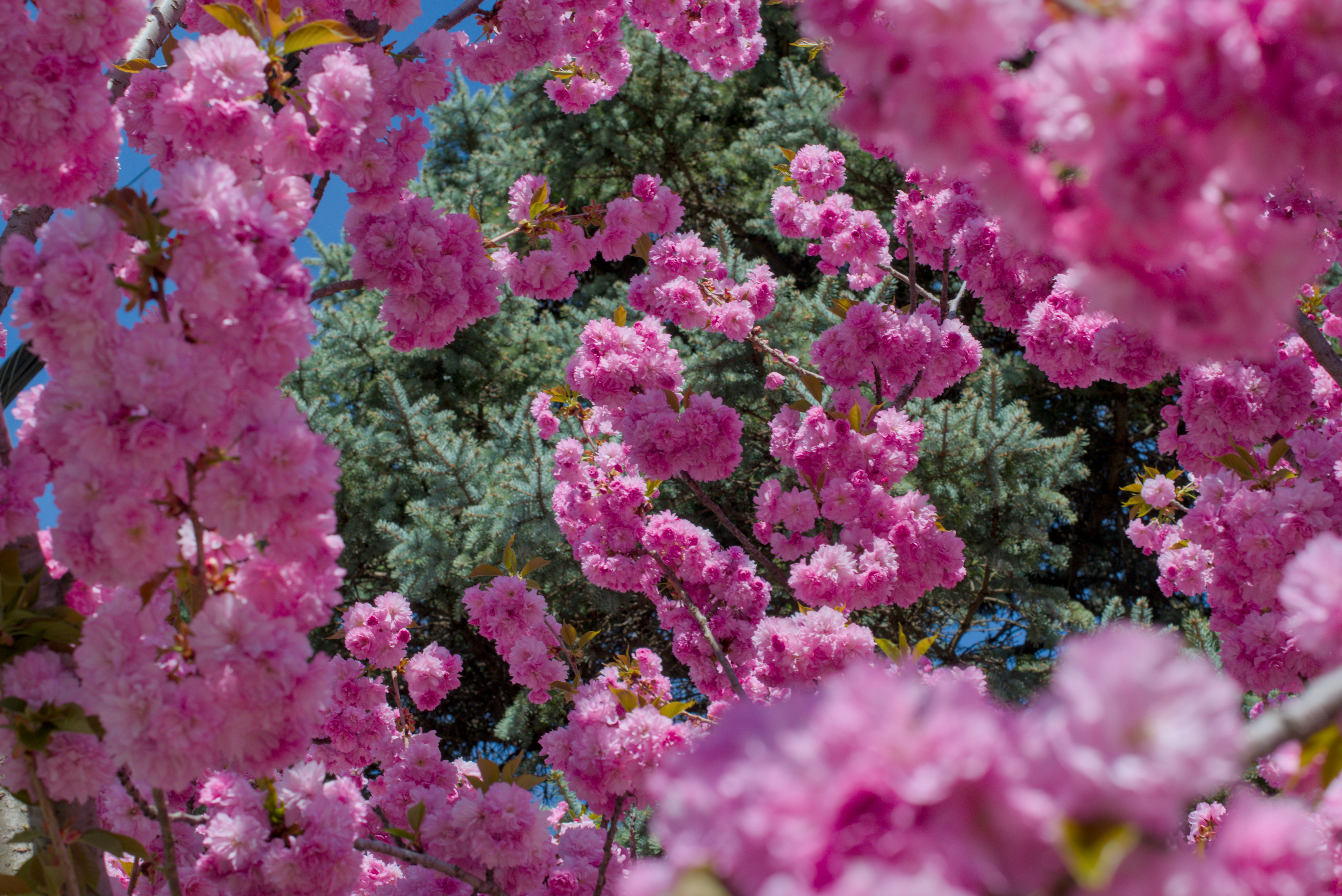 Photo by imagineskies