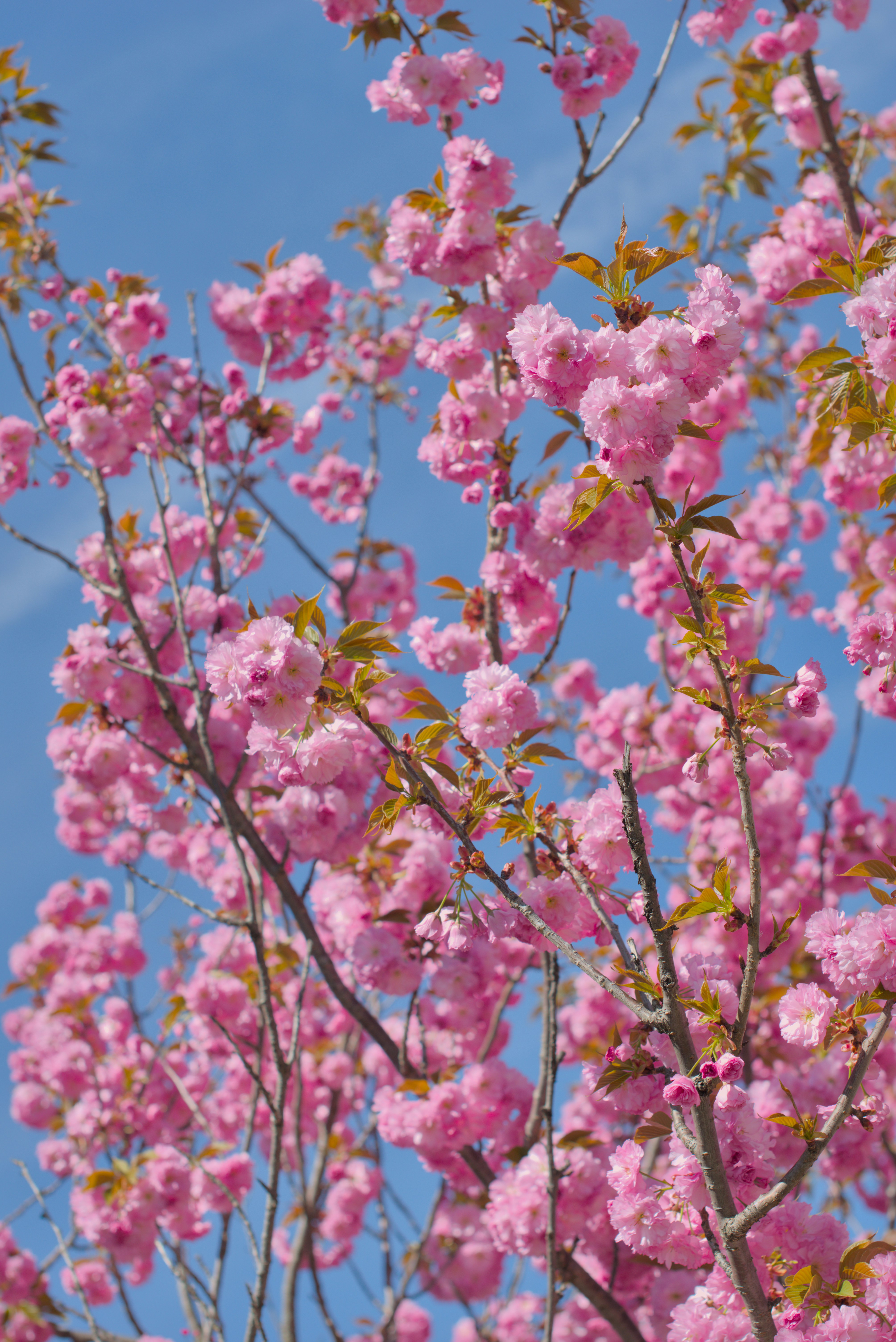 Photo by imagineskies