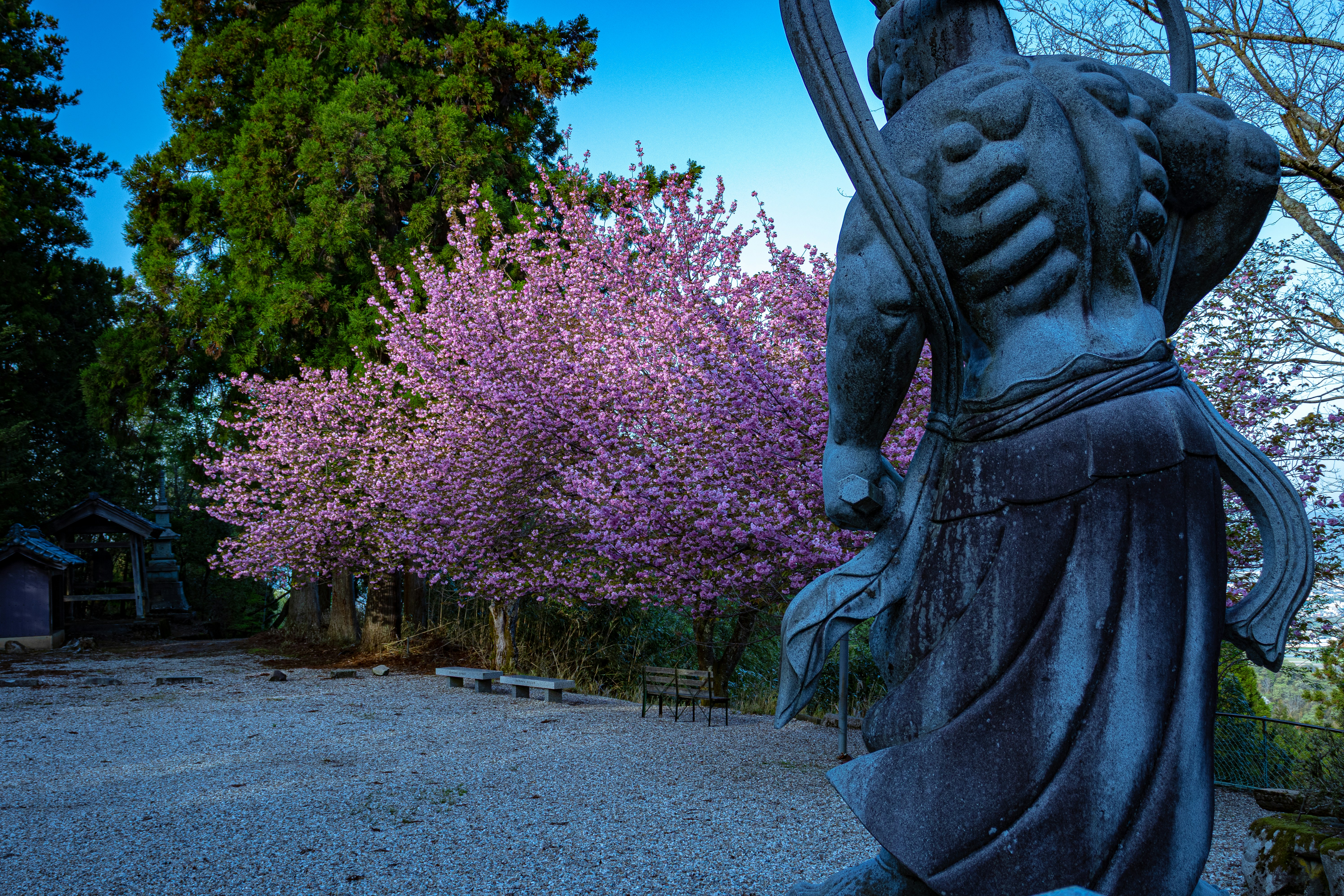 Miyamoto Musashi Birthday Wishes: 25 Samurai Quotes to Inspire