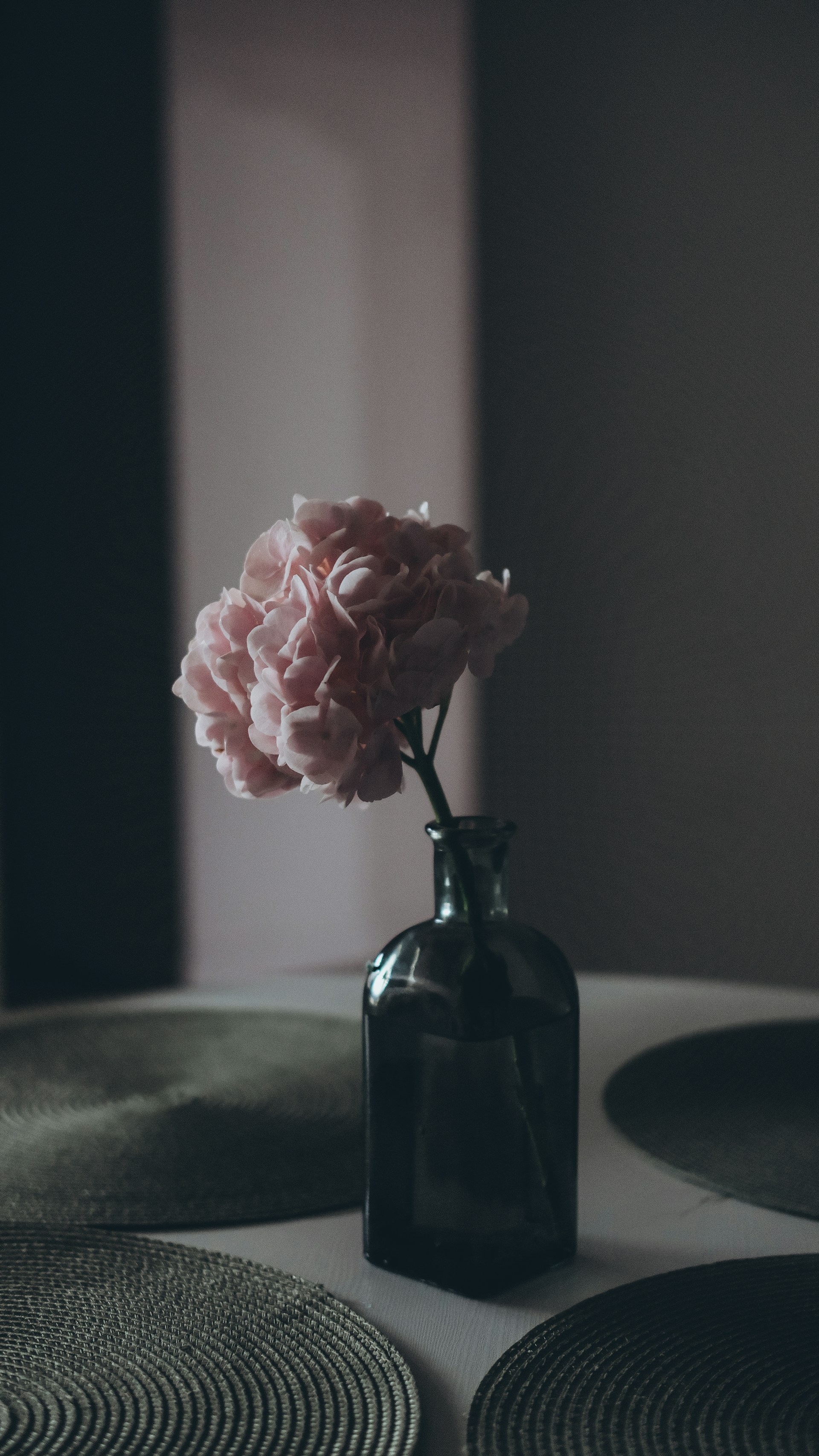 Pink flower in a vase on a table.