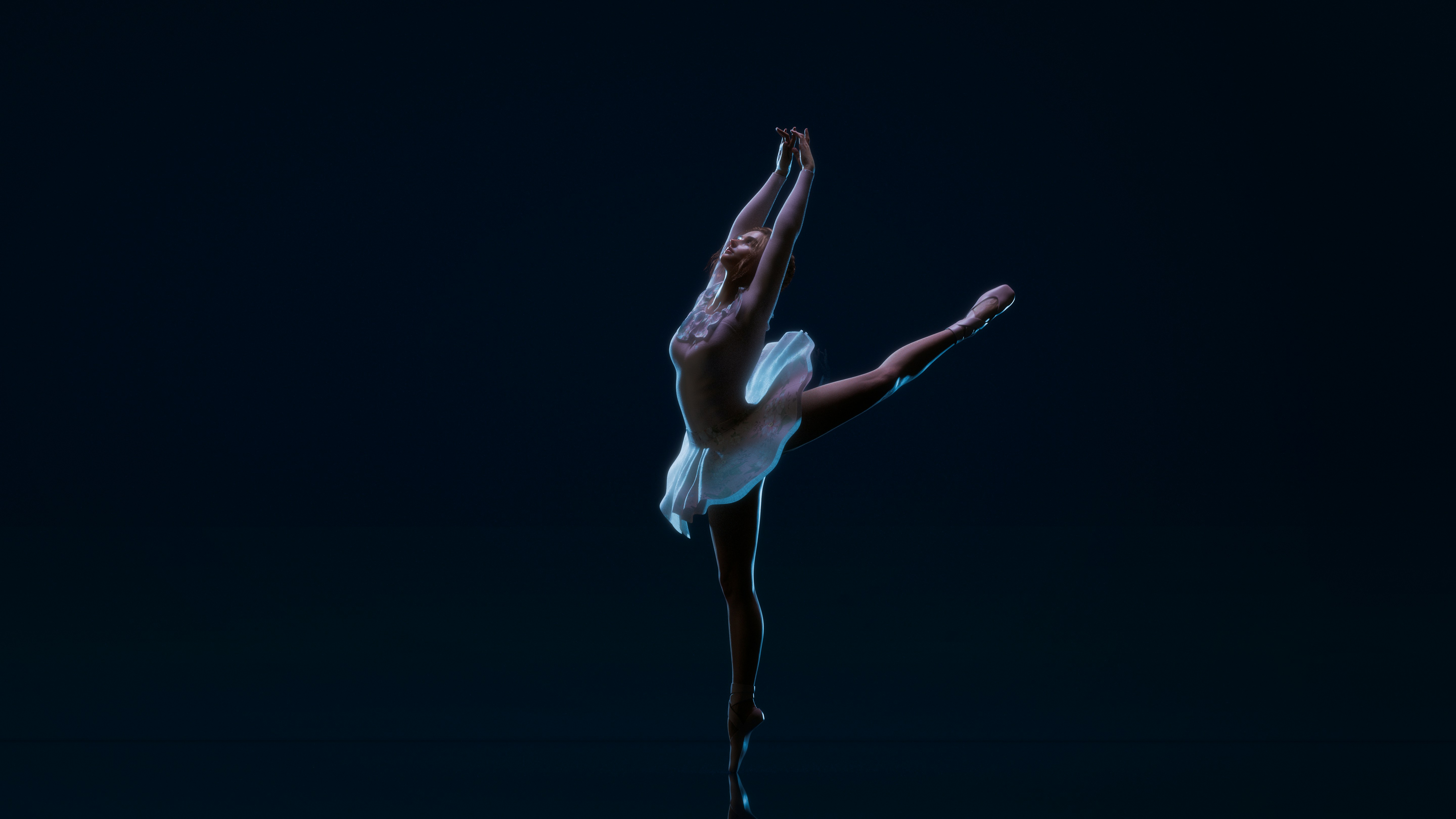 발레리나가 우아한 춤을 춥니다.