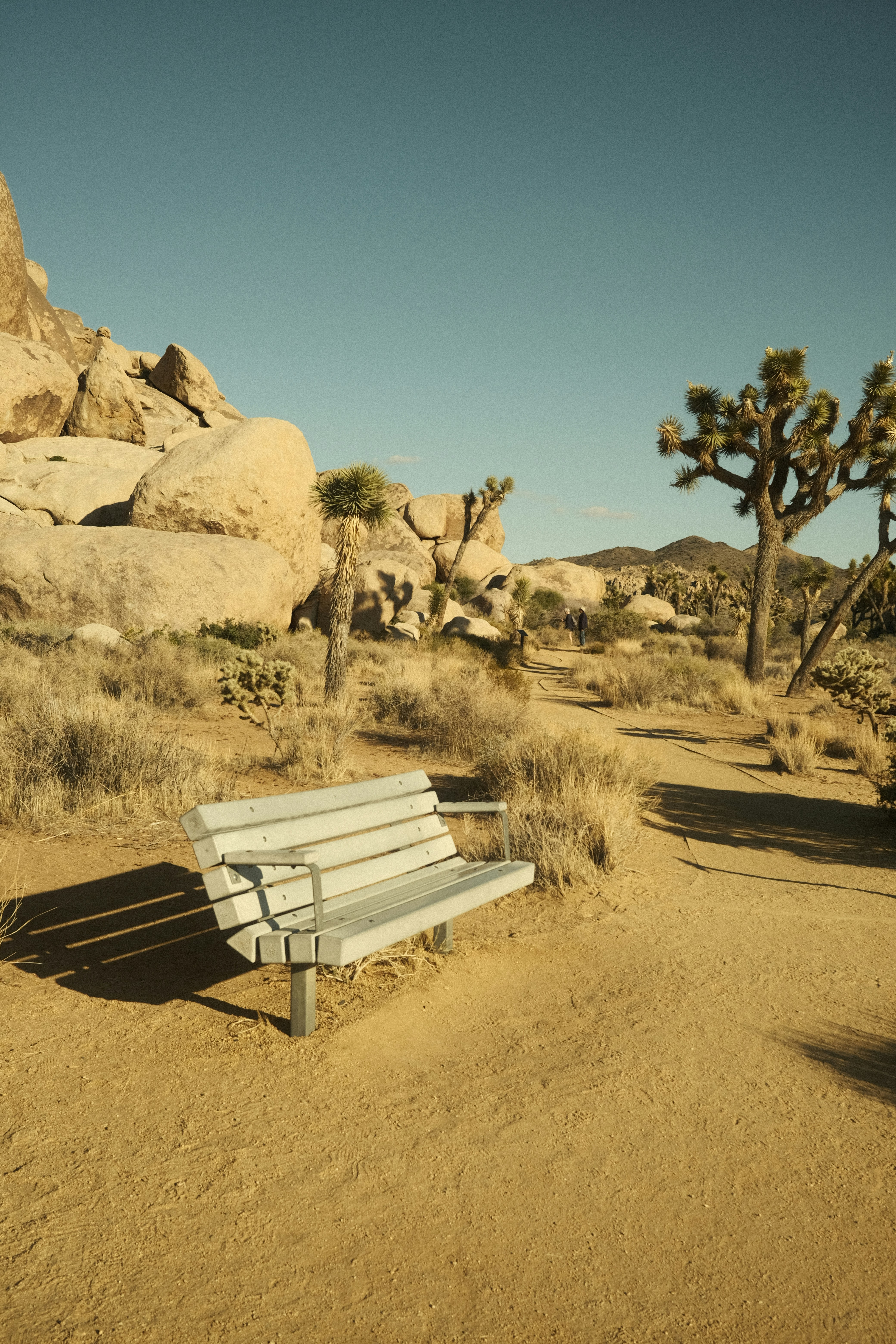 Bitcoin SOPR & Realised PnL Update: Mid-Cycle Structure Maintained at $106K