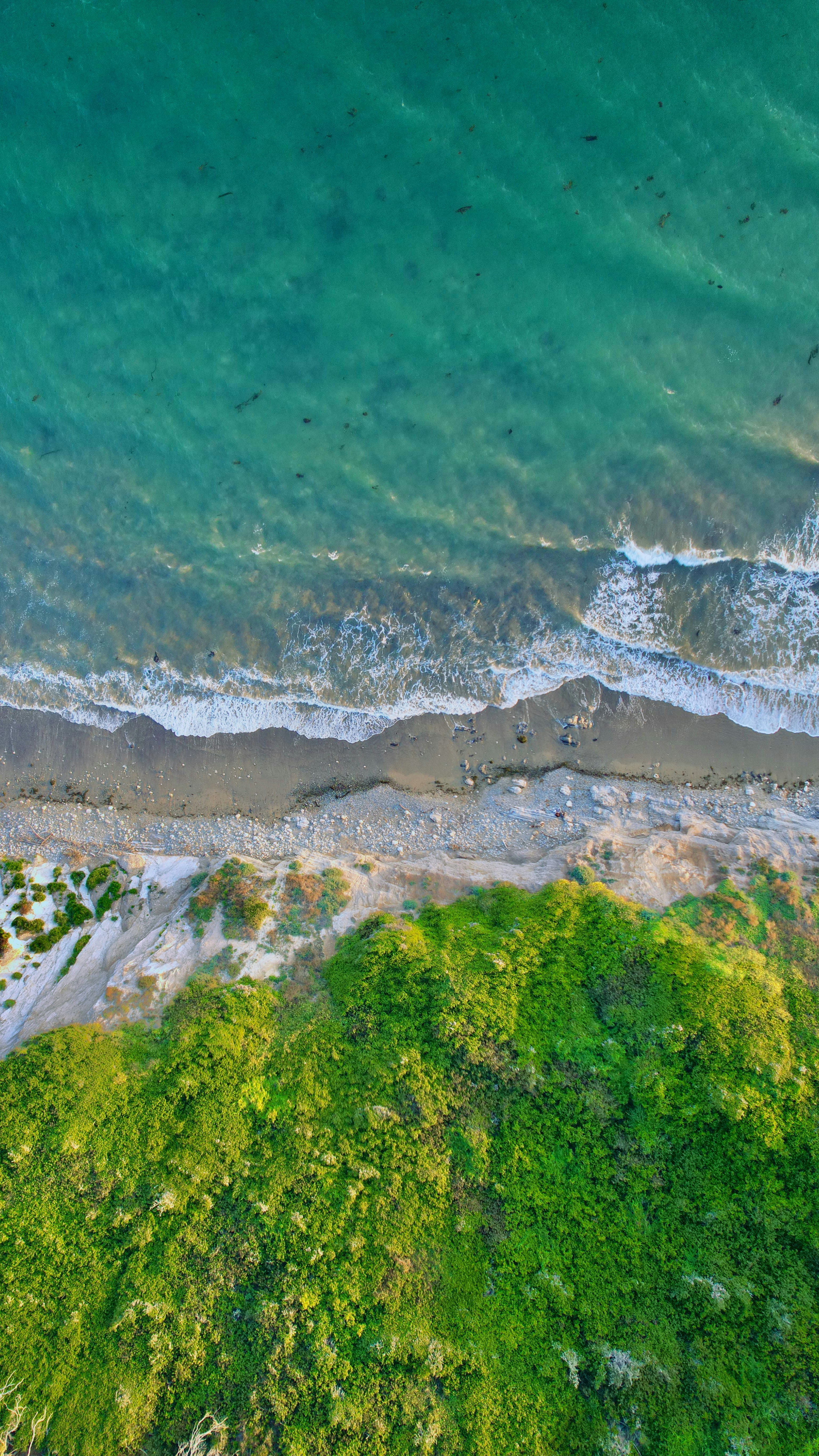 Aerial view of a beach and lush green landscape.