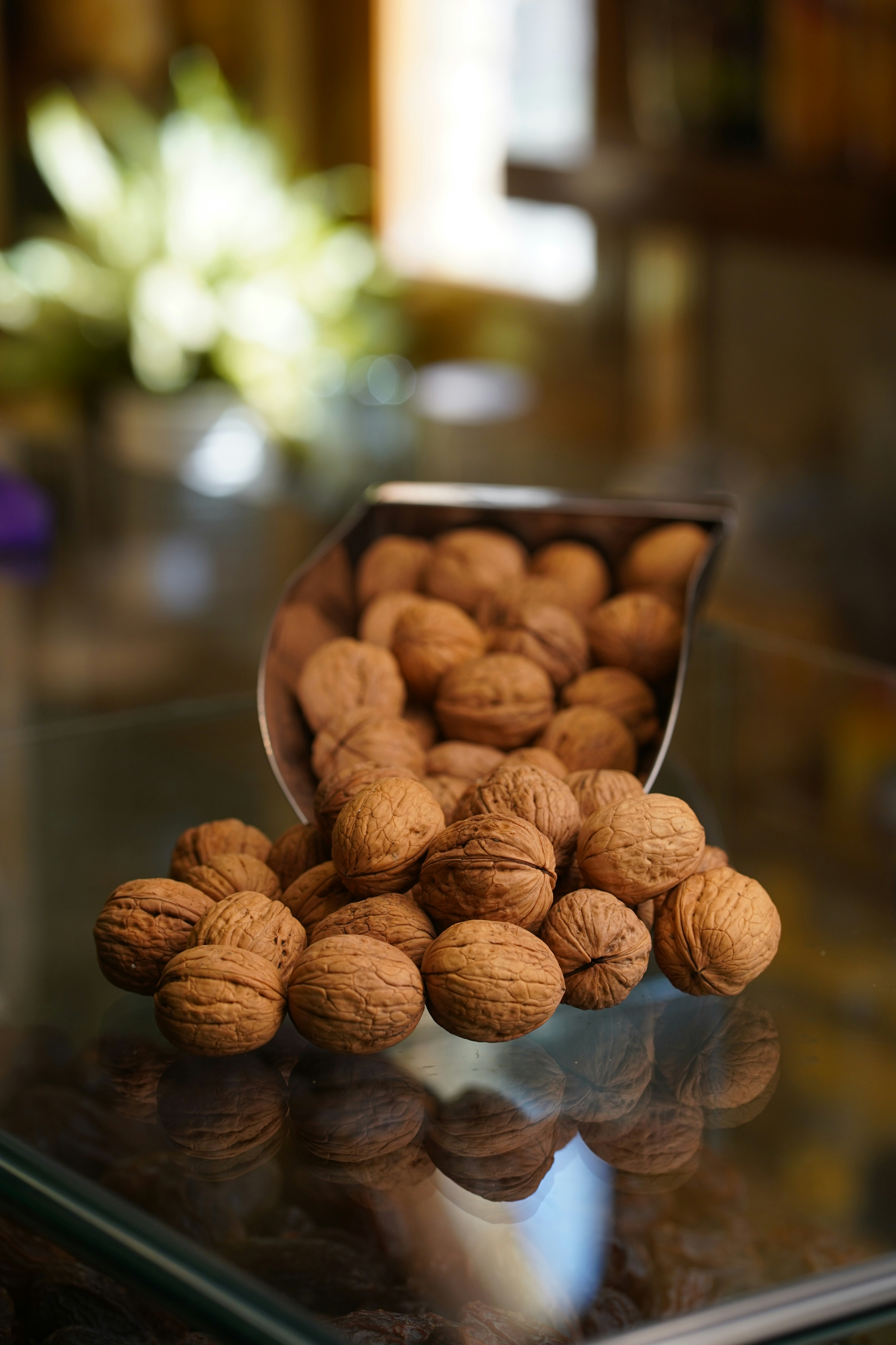 Photo by hoseinfayton