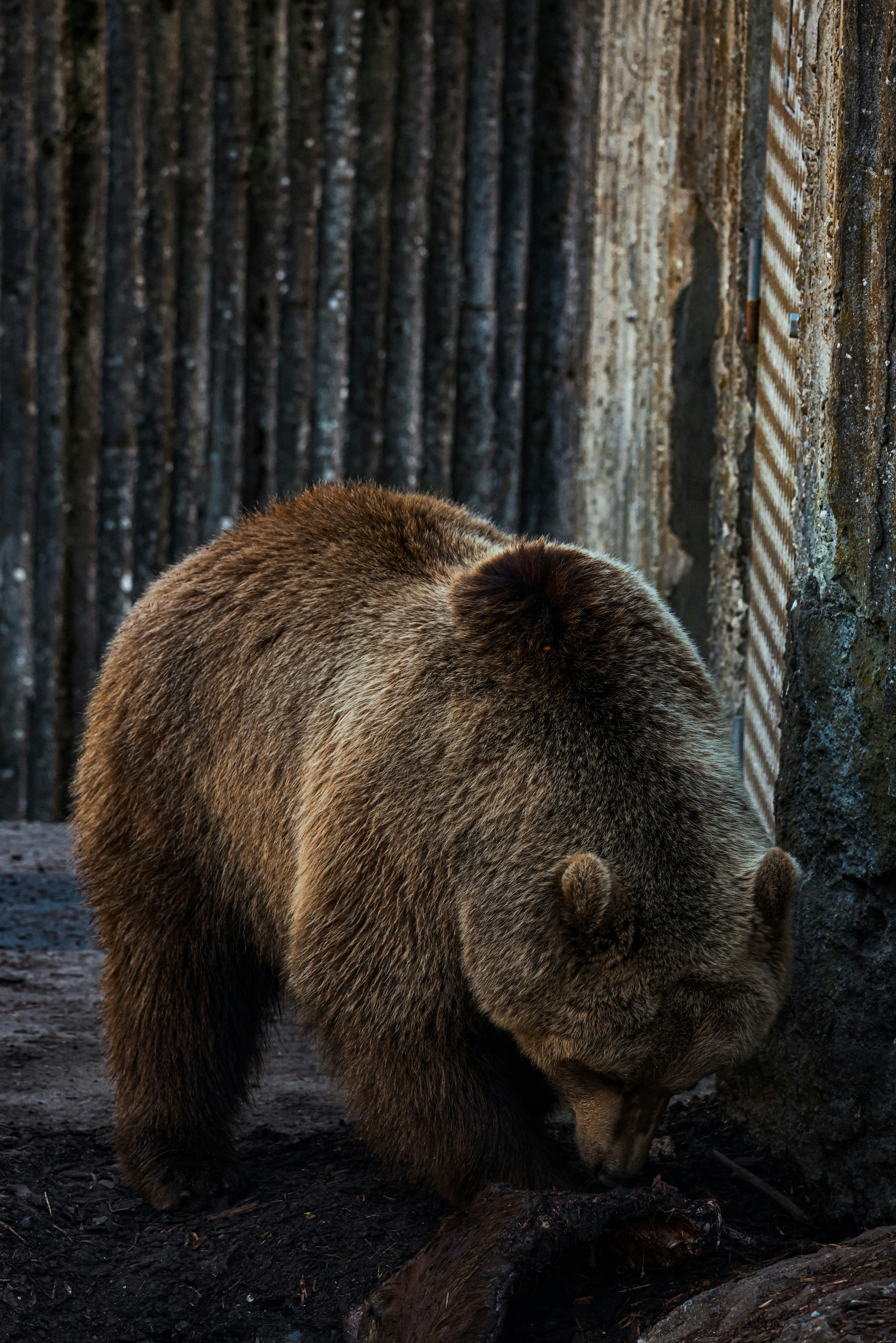 Photo by nickkarvounis