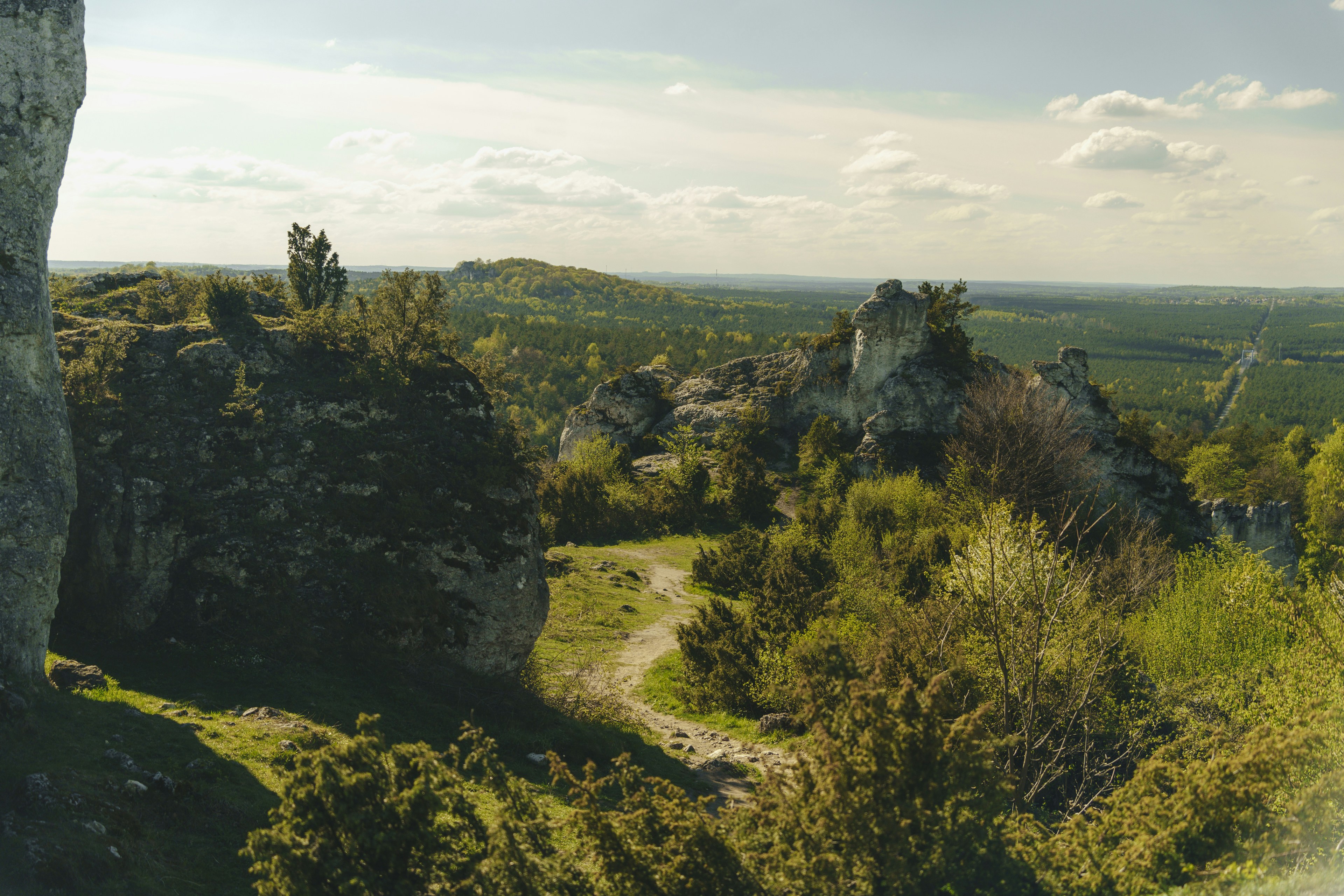 Photo by dawidtkocz