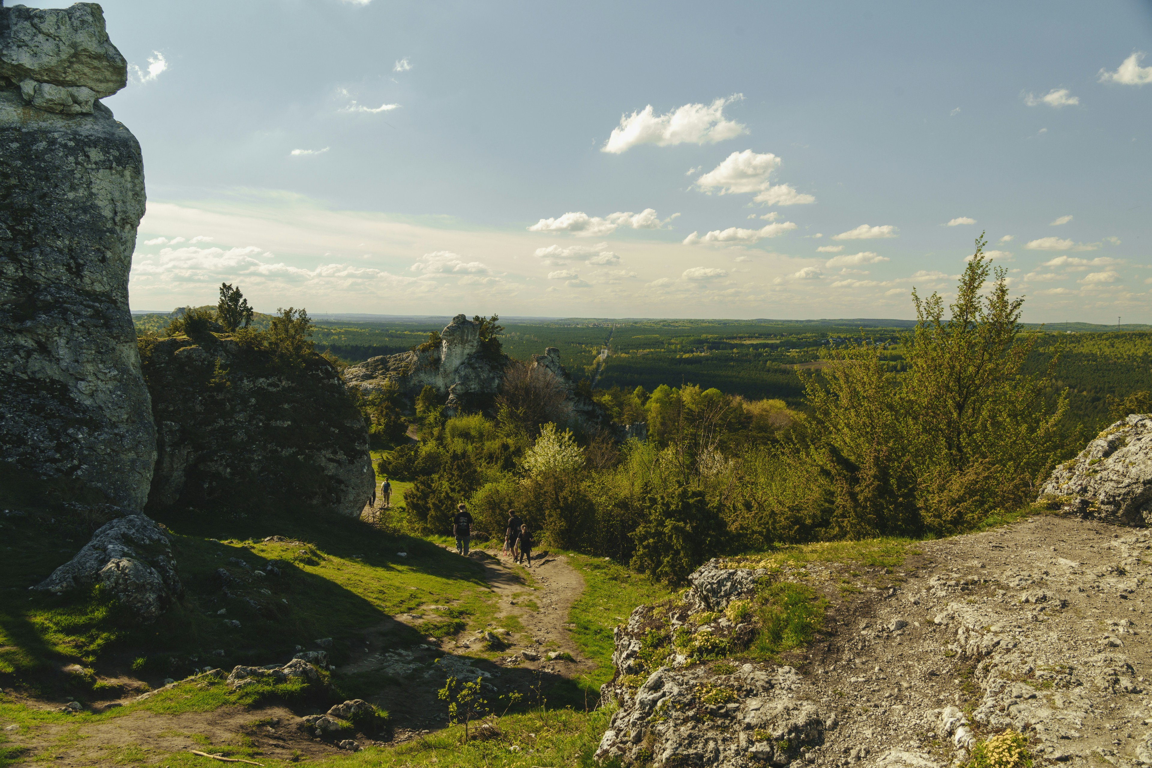 Photo by dawidtkocz