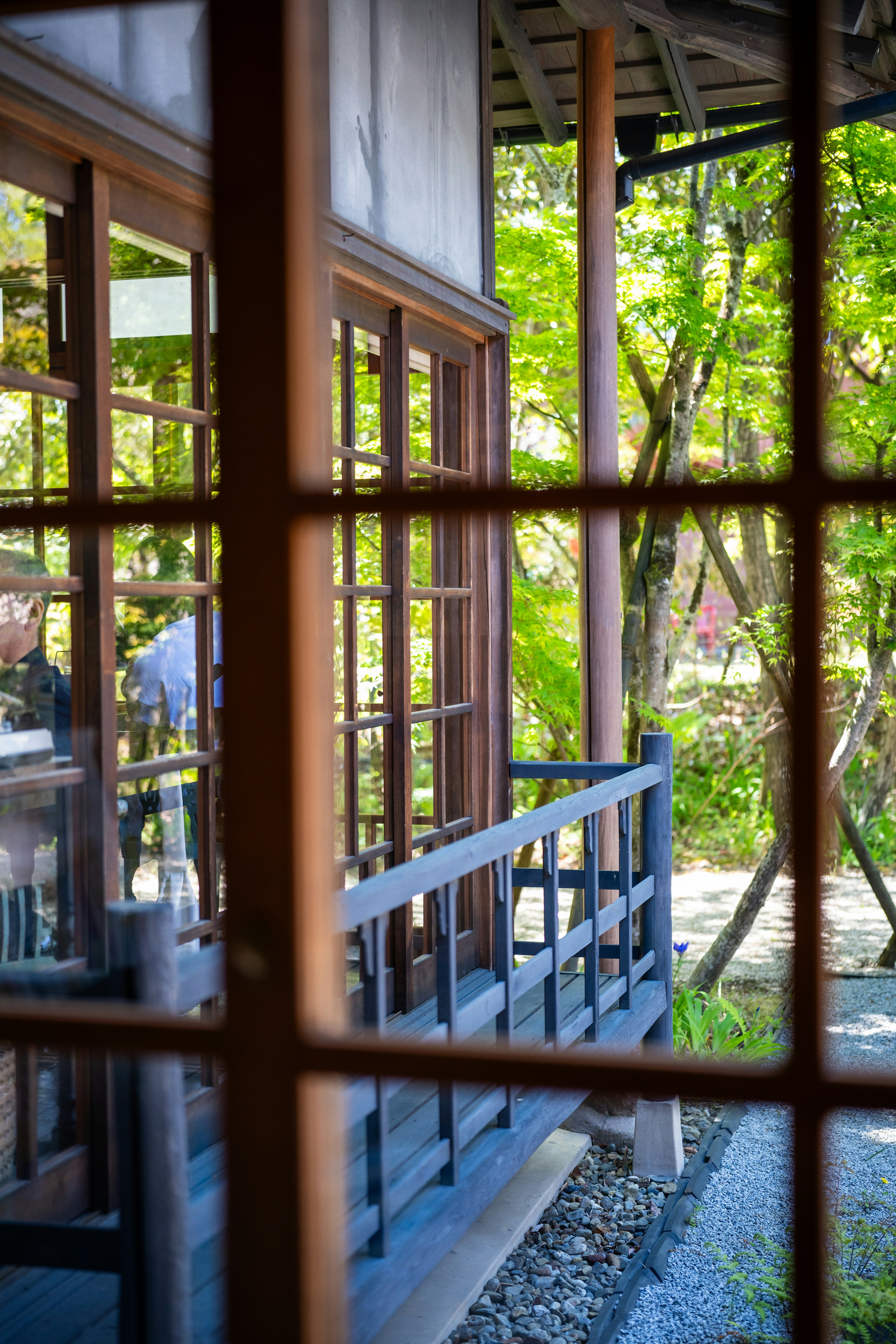 Photo by pafuxu