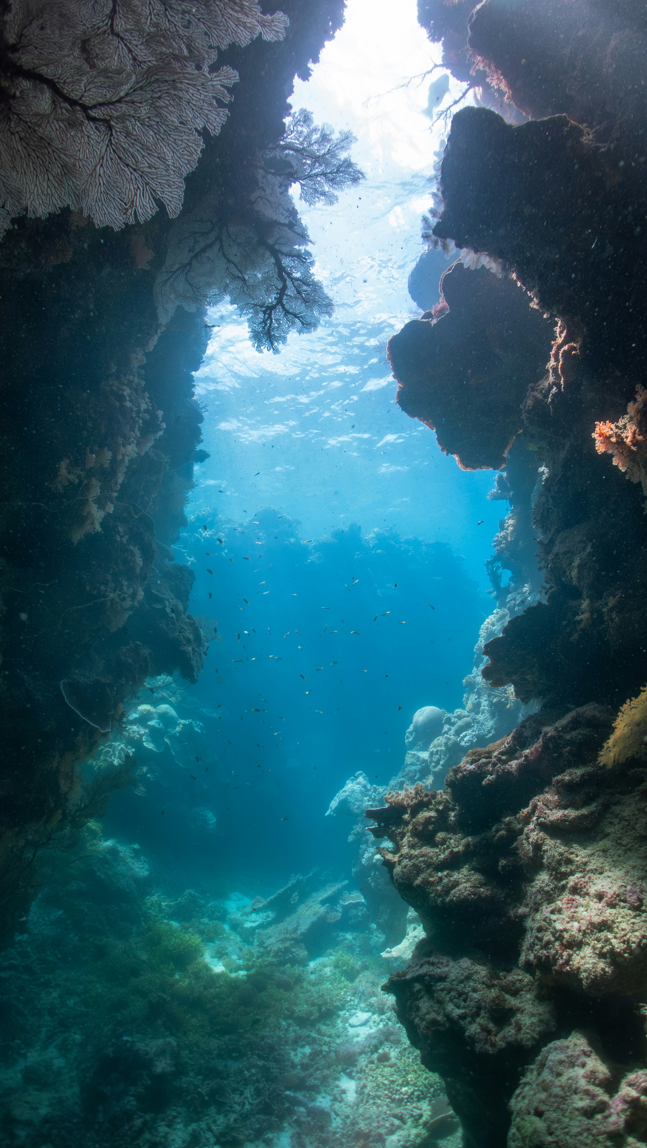 Great Barrier Reef travel photo