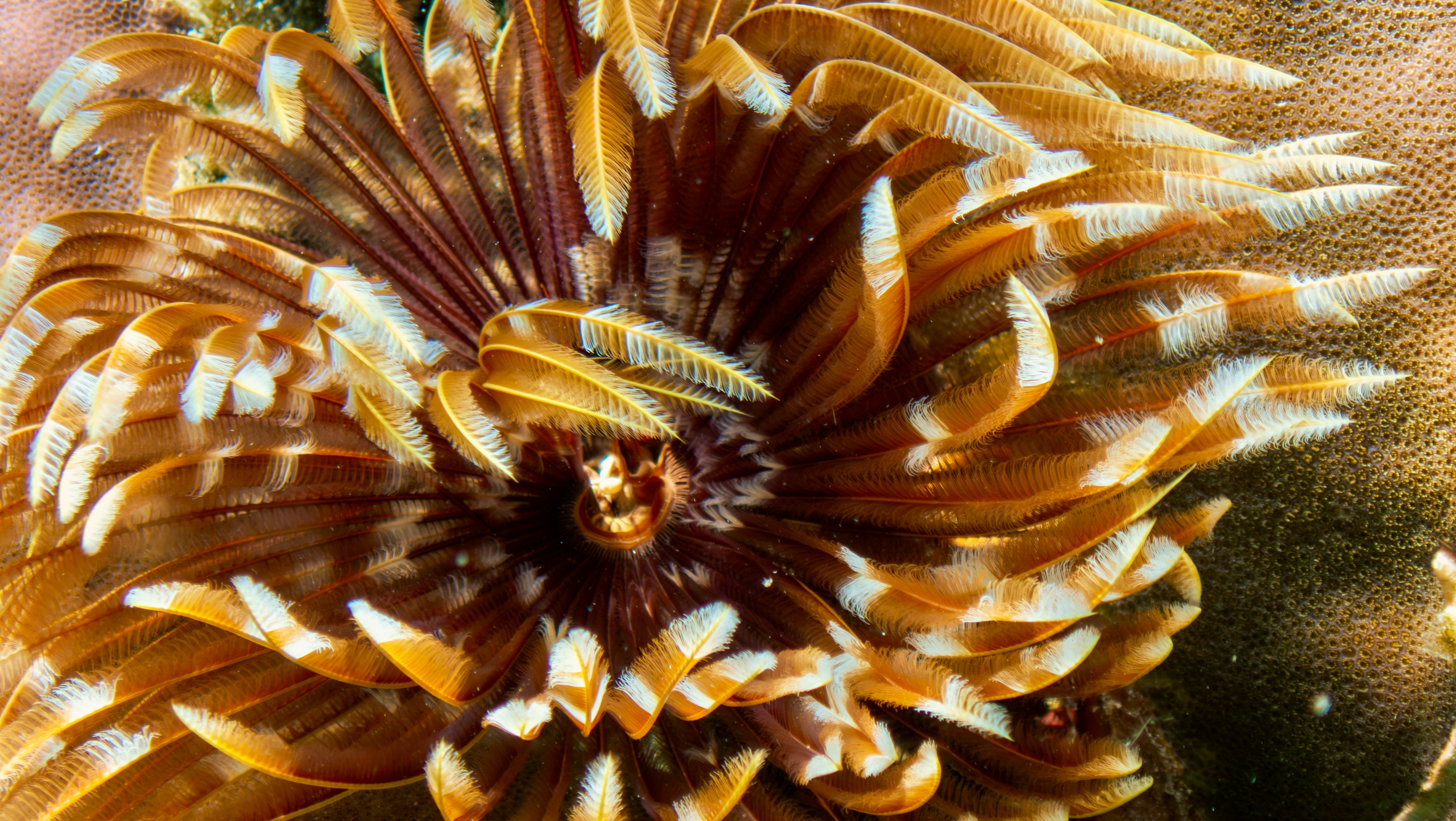 Photo by ejmoralesoyola