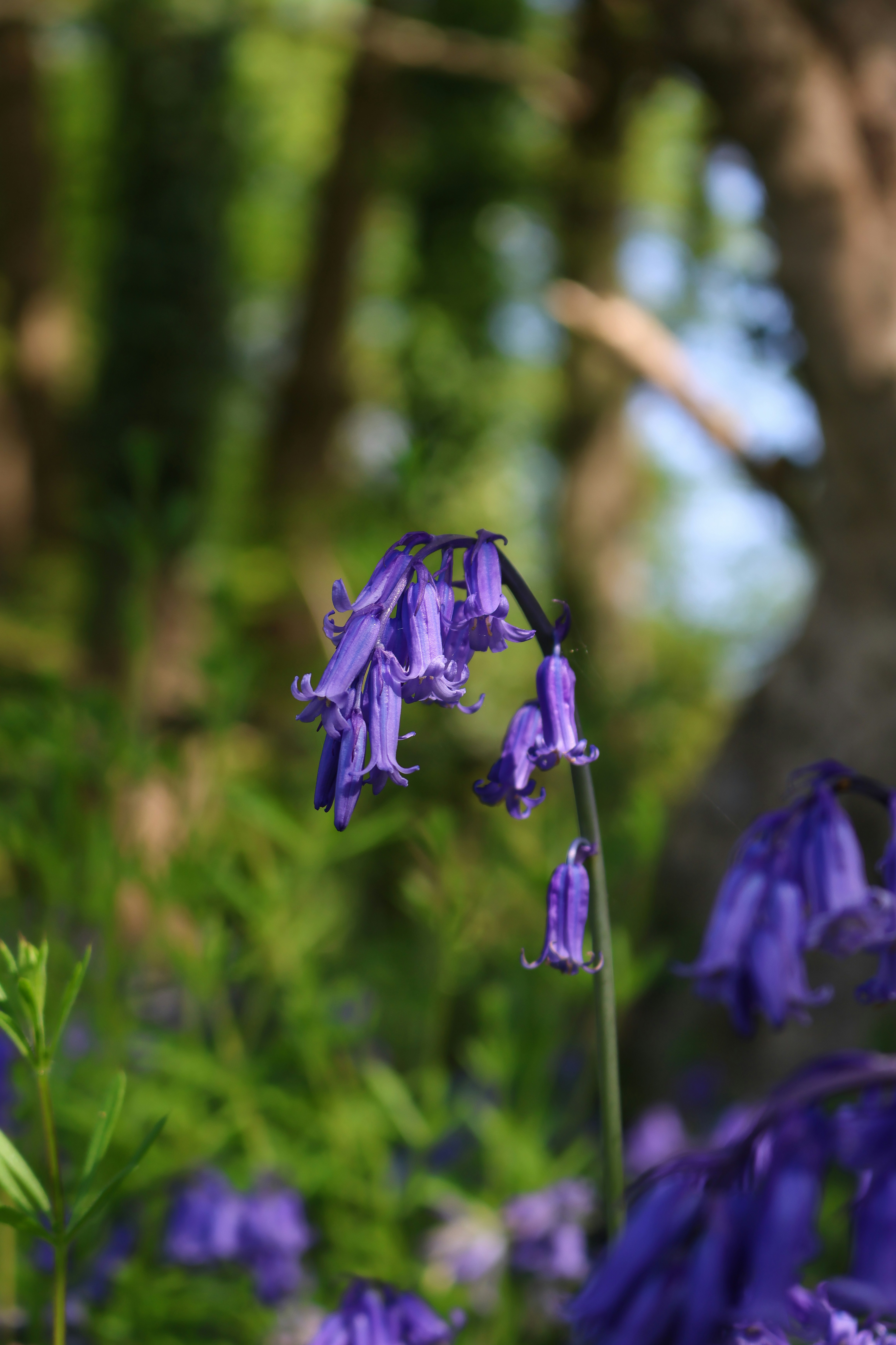 Photo by jameslgorringe