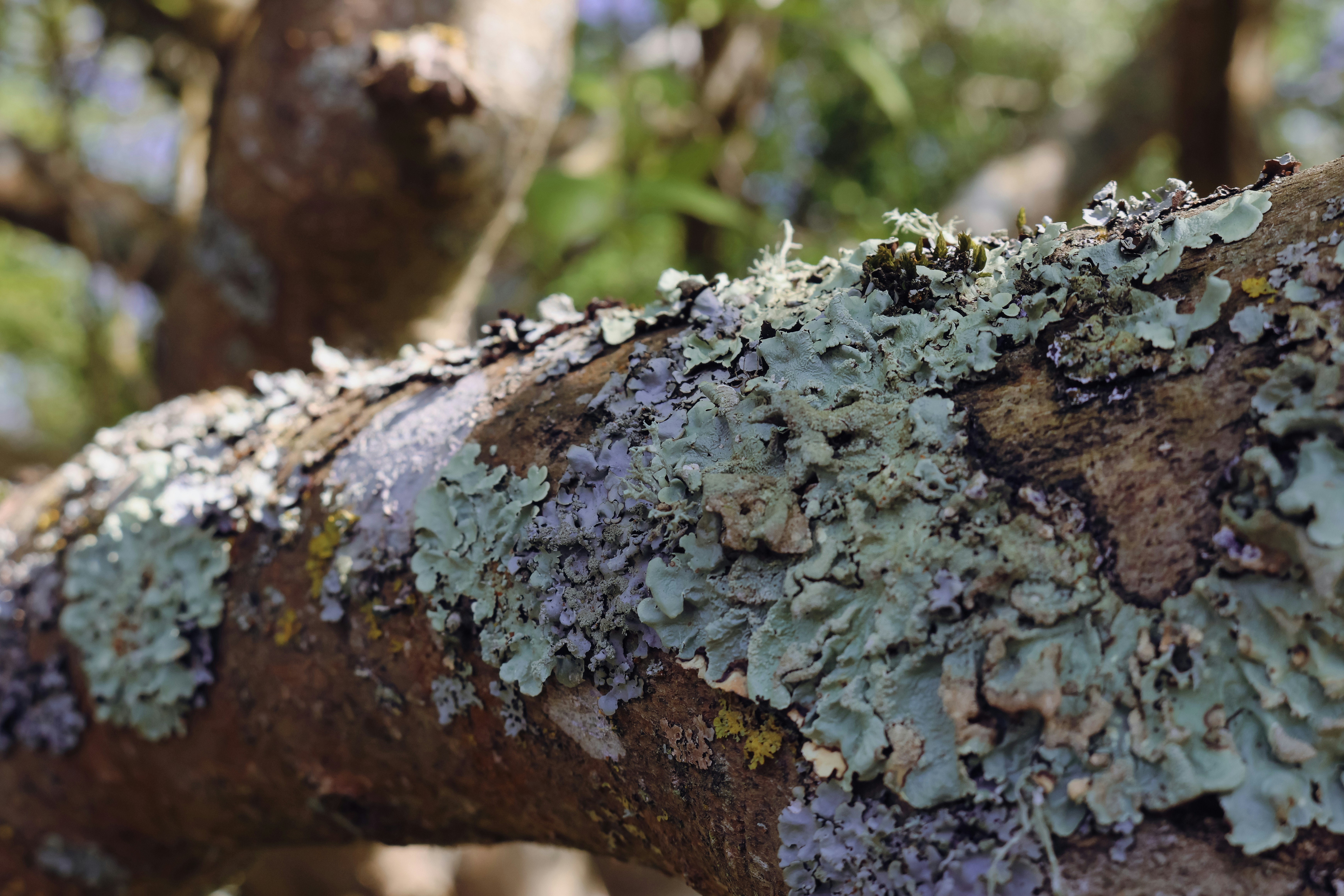 Photo by jameslgorringe