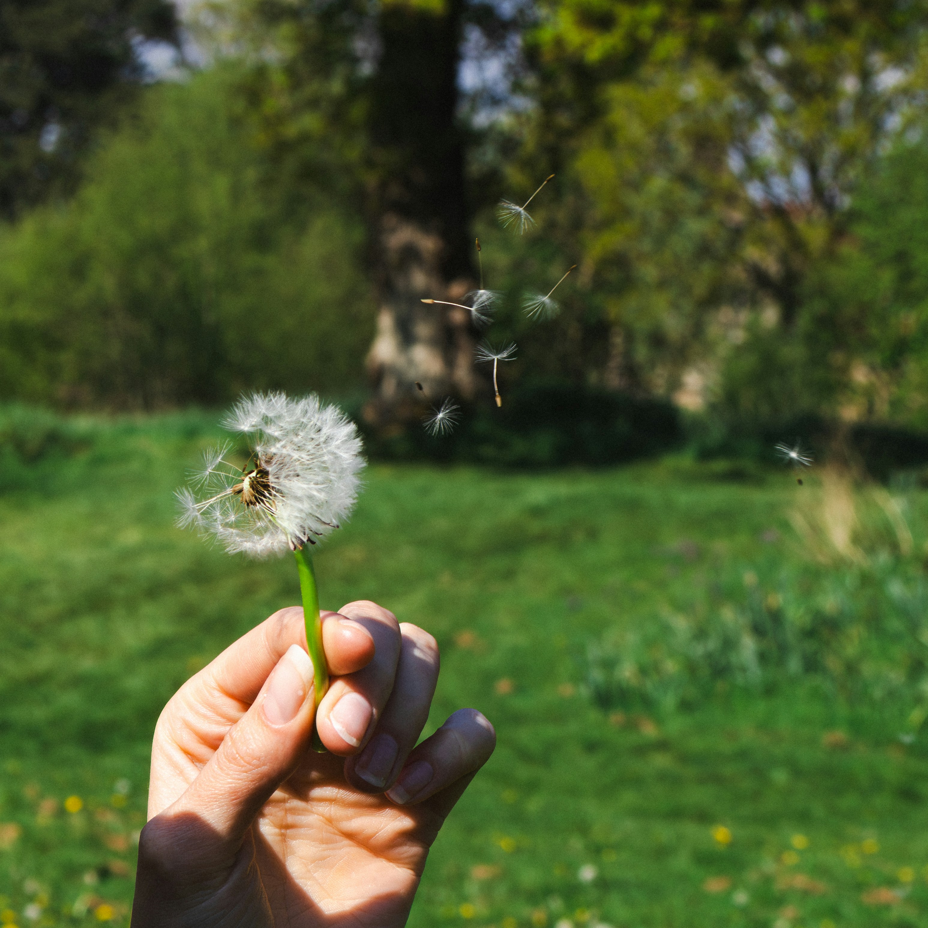 Photo by jameslgorringe