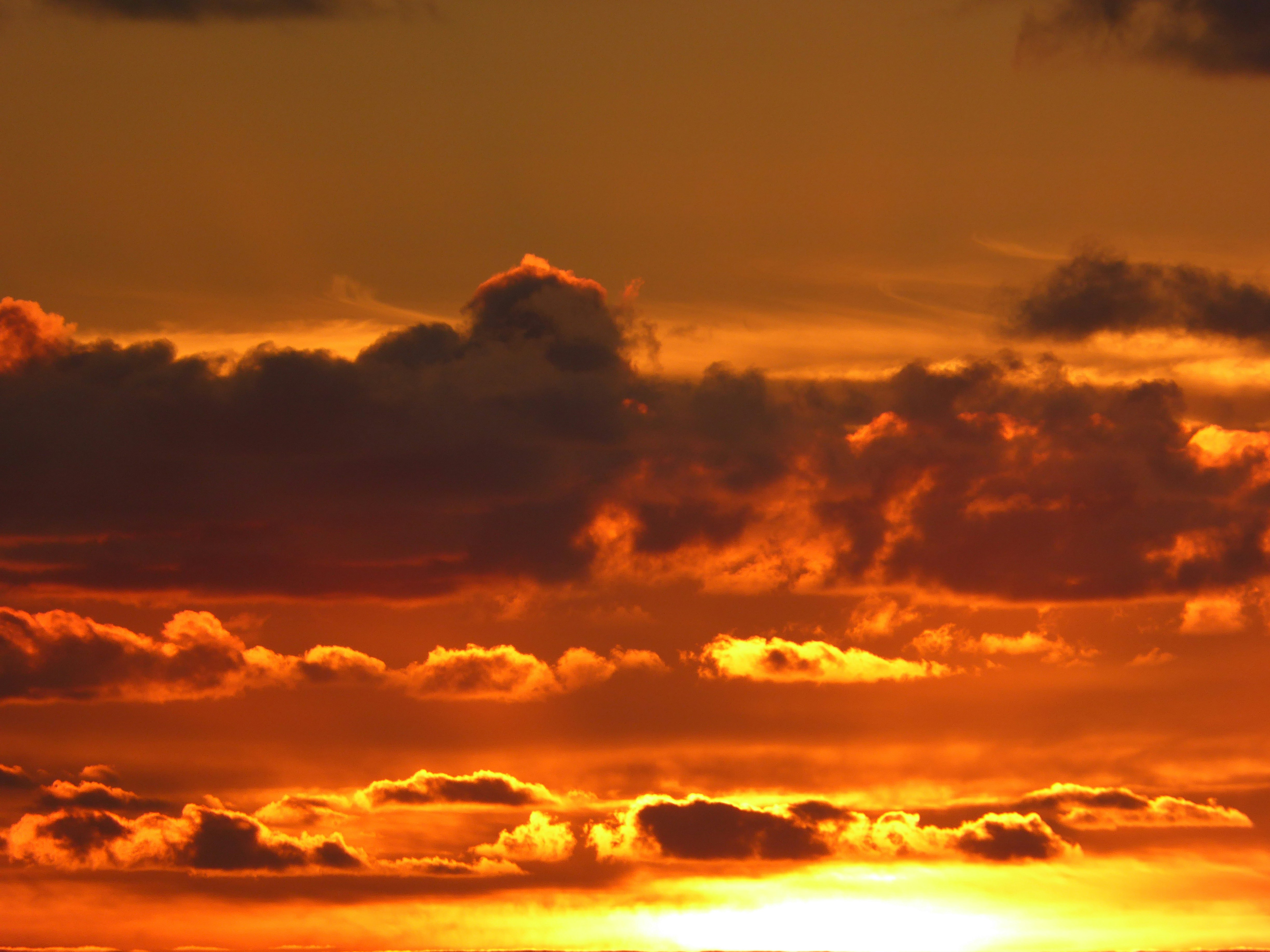 Photo by delphidolphin