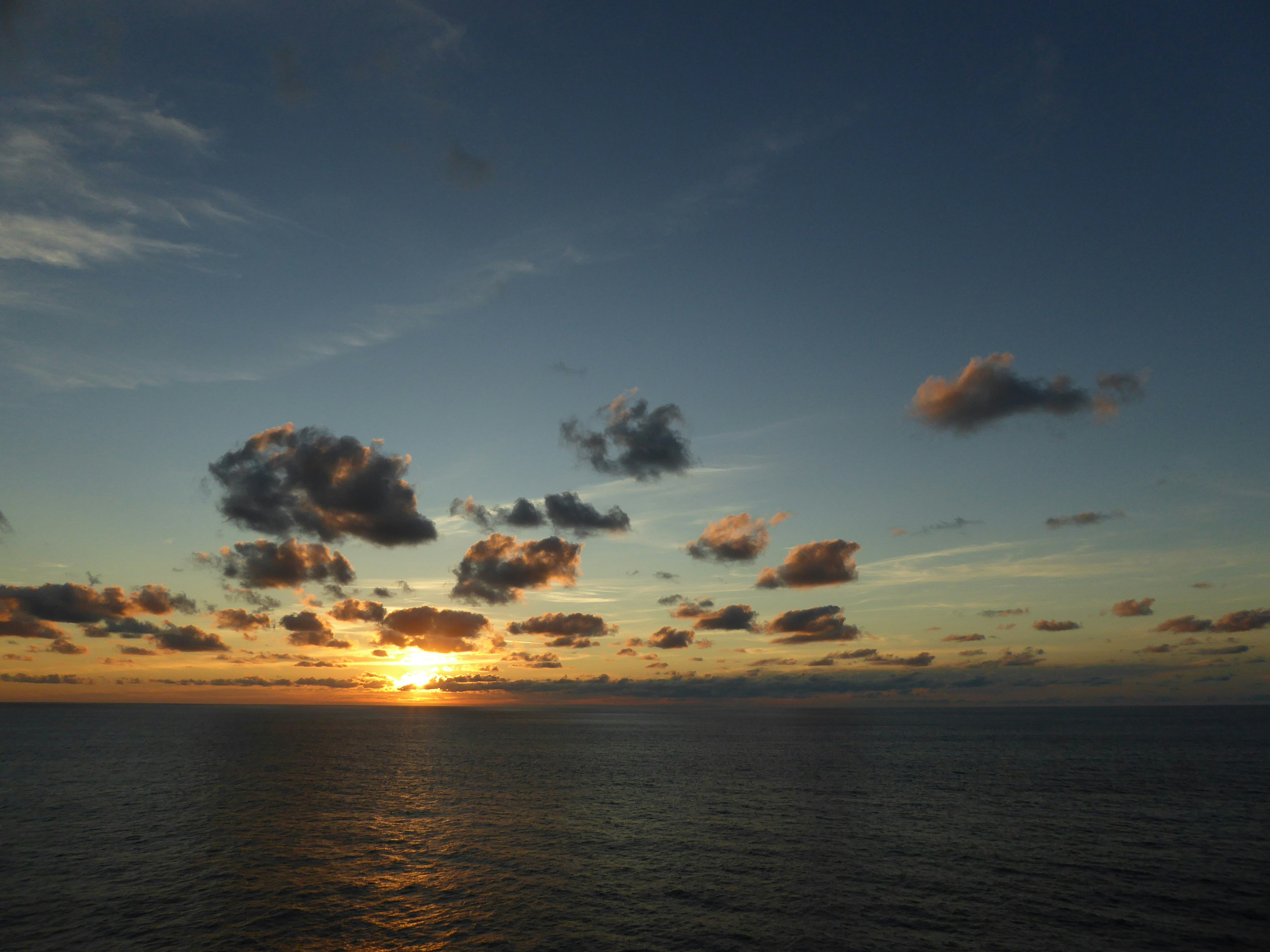 Photo by delphidolphin