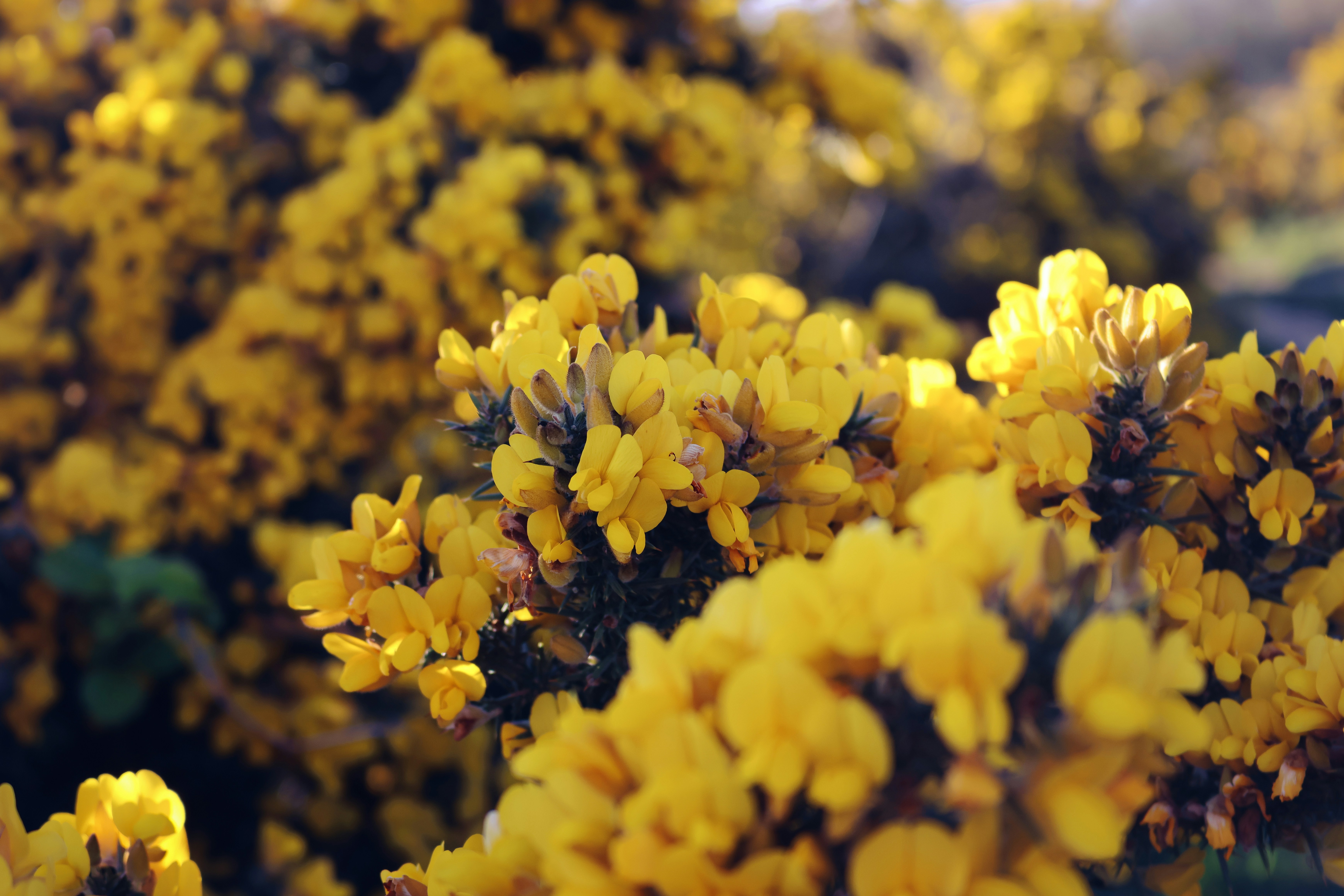 Photo by jameslgorringe