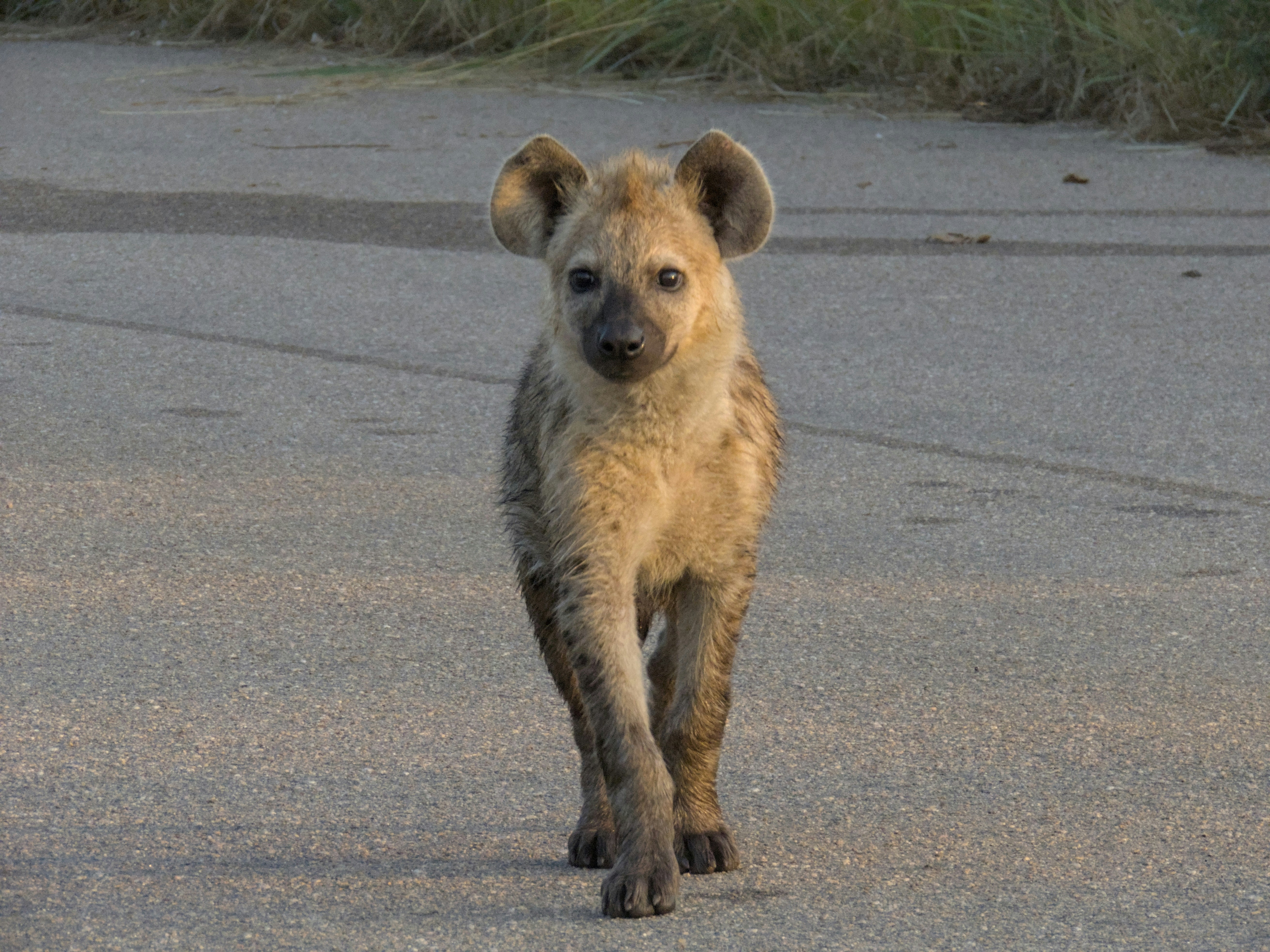 Photo by ja_photography