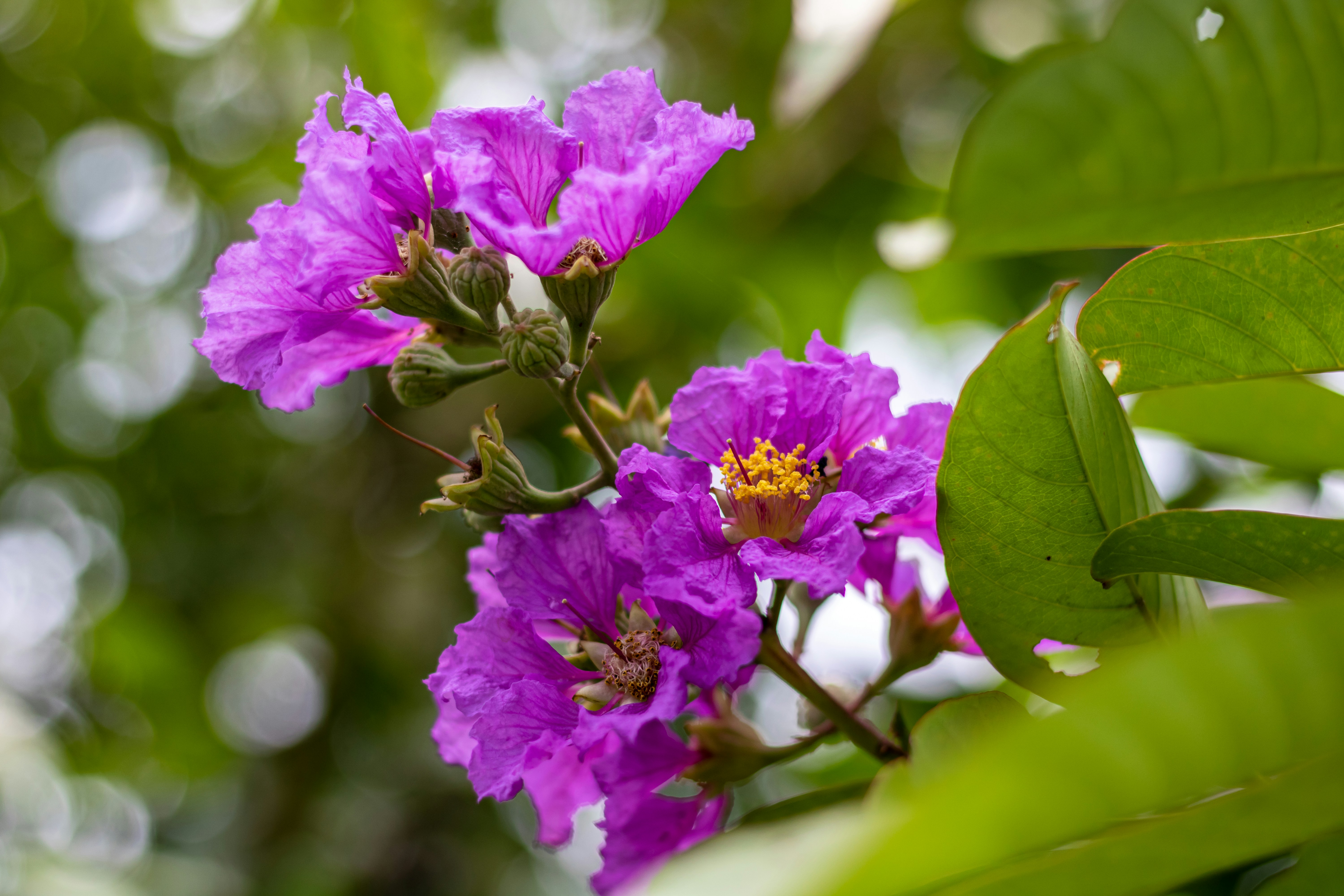 Photo by 5milliseconds