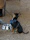 A small dog looks up, leash in hand.
