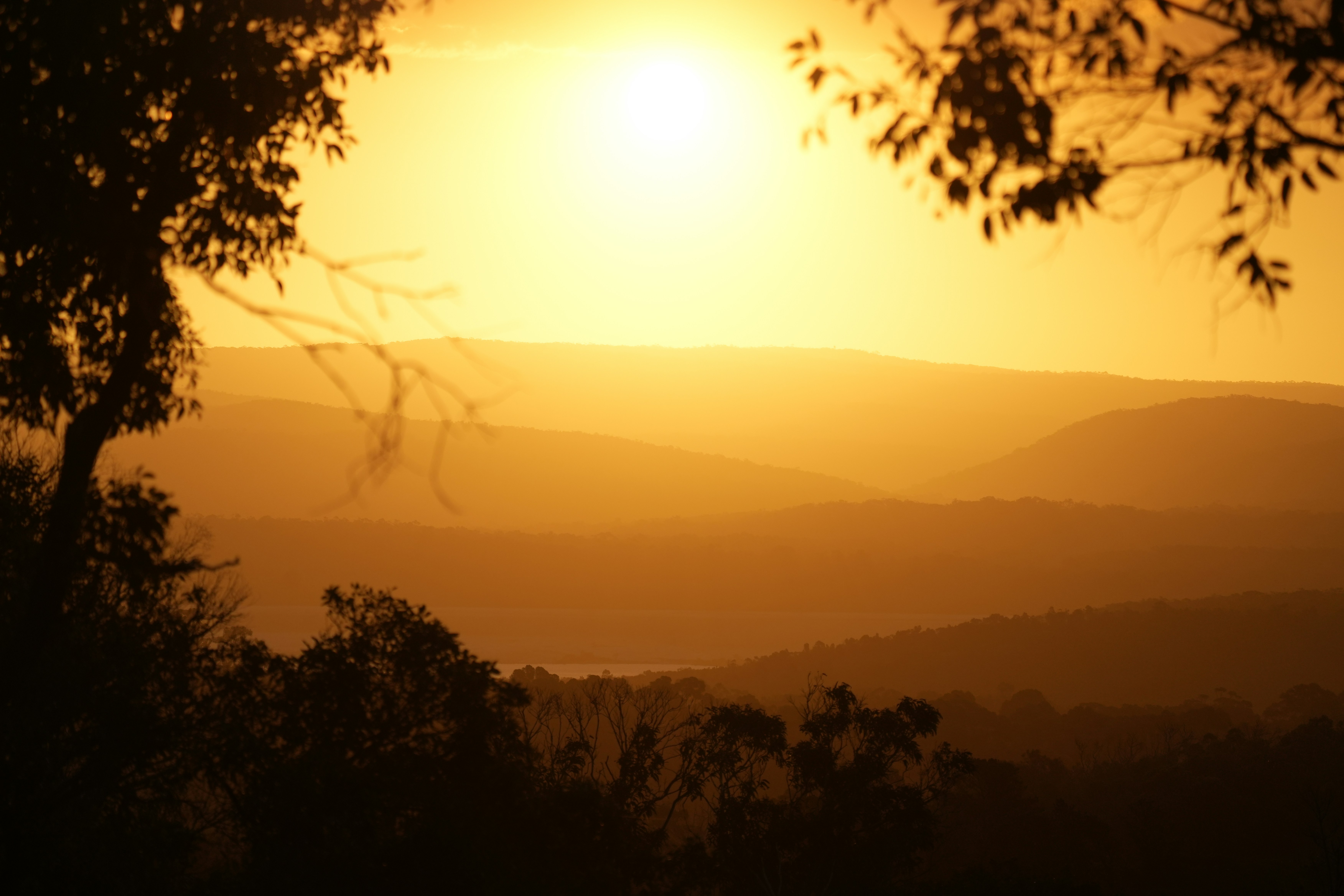 Photo by paulkrueger