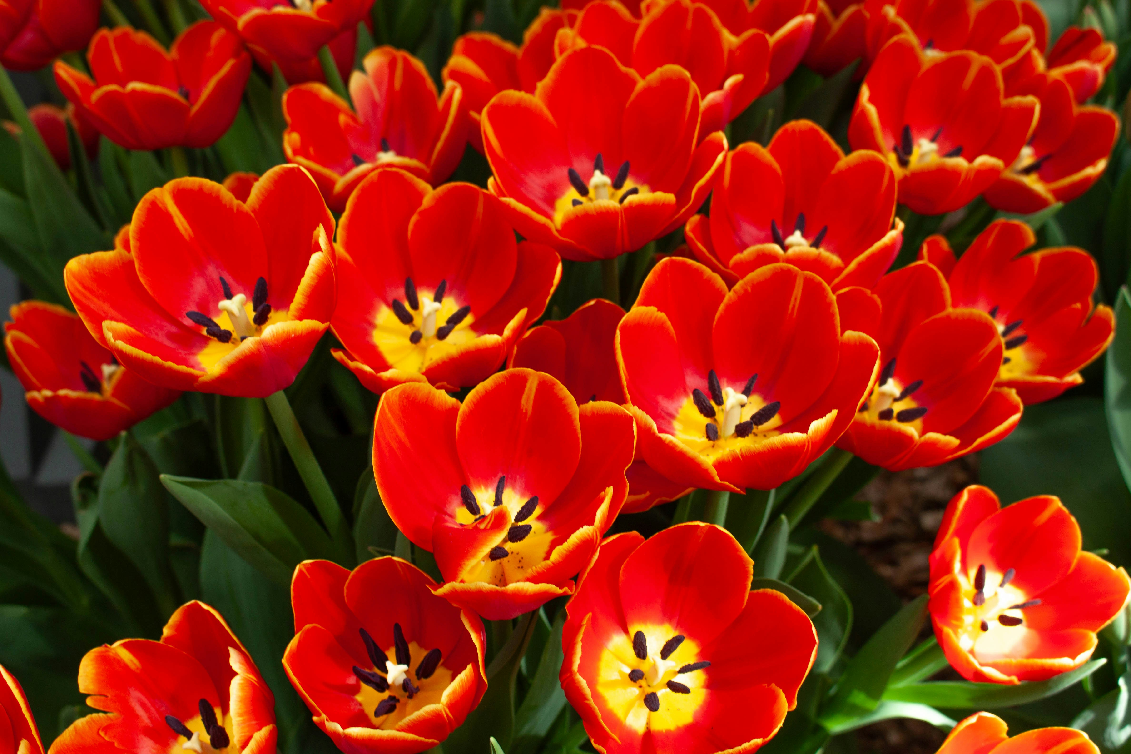 Photo by kamillaisalieva